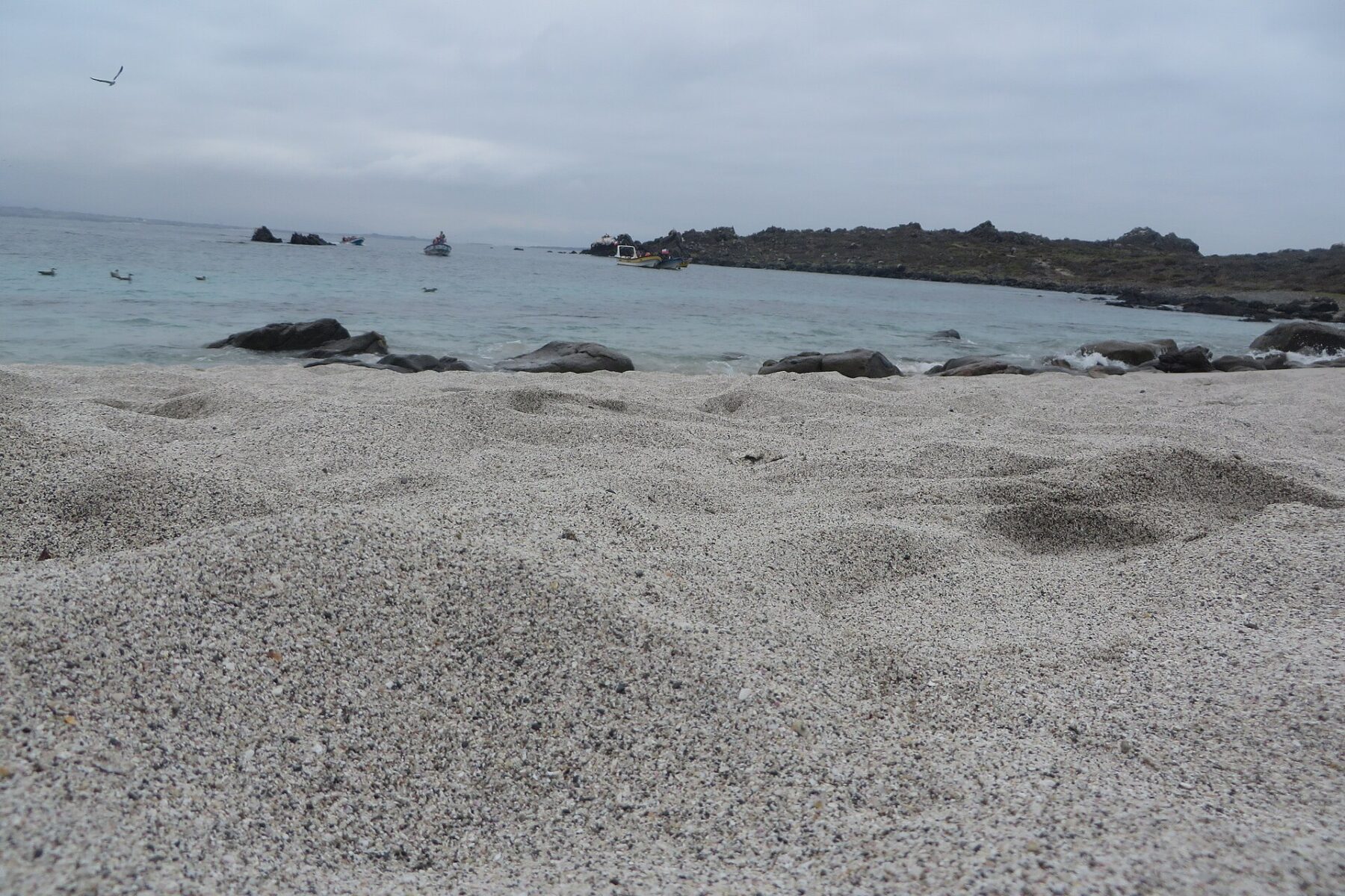 Beach and fishing boats at Isla Damas in the Humboldt Penguin National Reserve, Coquimbo Region, Chile
