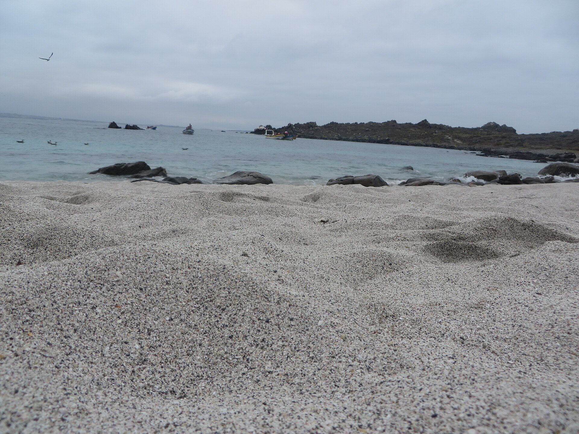 Beach and fishing boats at Isla Damas in the Humboldt Penguin National Reserve, Coquimbo Region, Chile