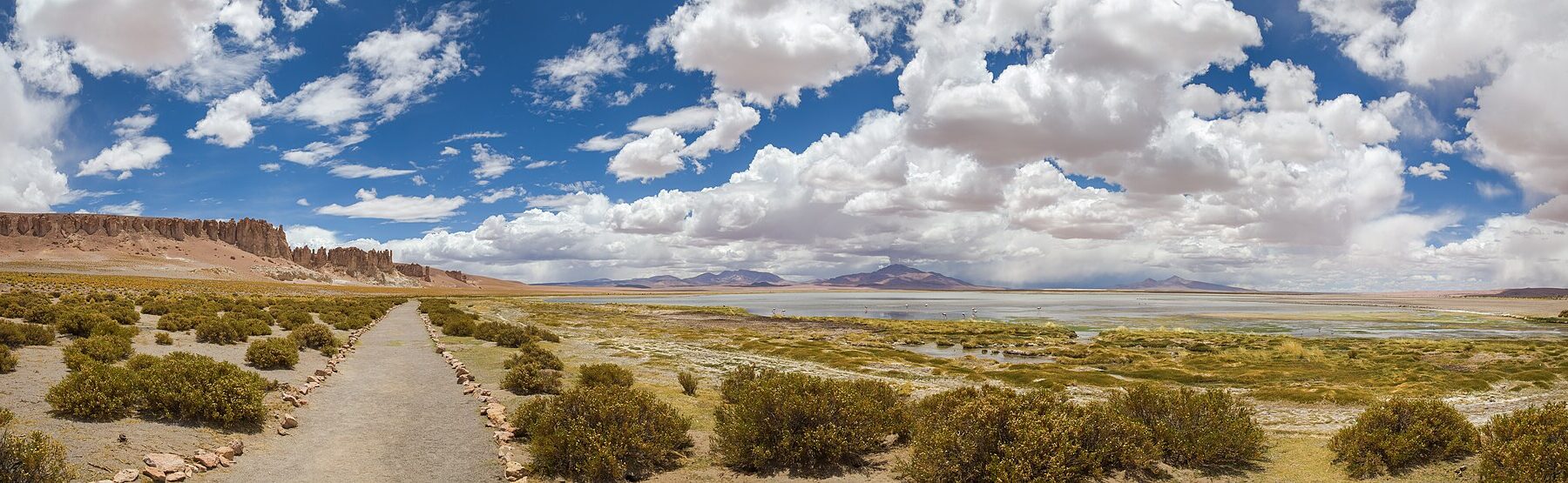 The Salar de Tara in Chile's Atacama region, one of the high-altitude salt flats of the lithium triangle