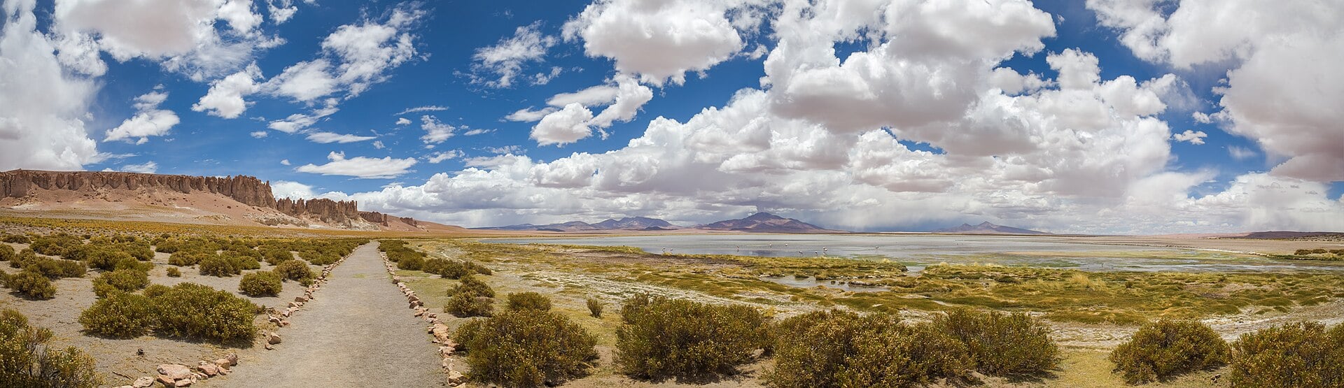 The Salar de Tara in Chile's Atacama region, one of the high-altitude salt flats of the lithium triangle