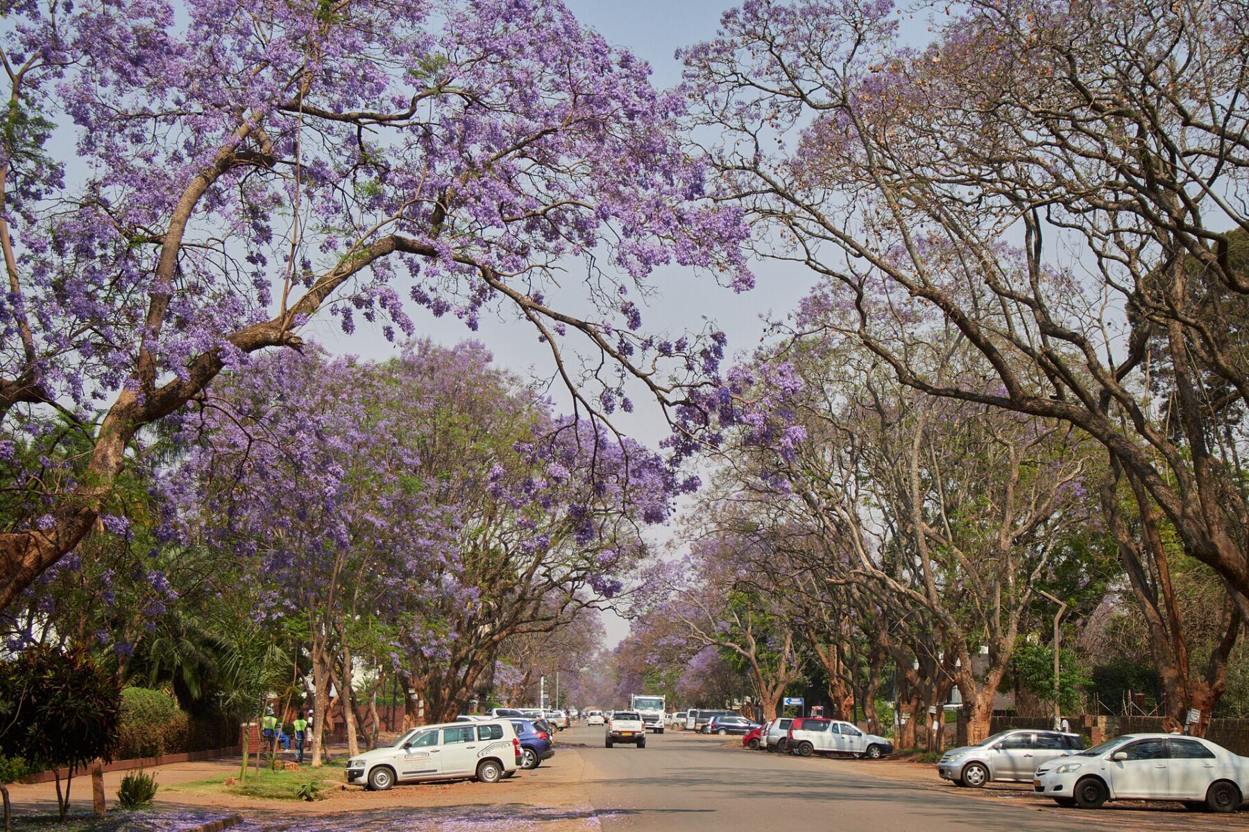 A view over the city of Harare, the capital of Zimbabwe