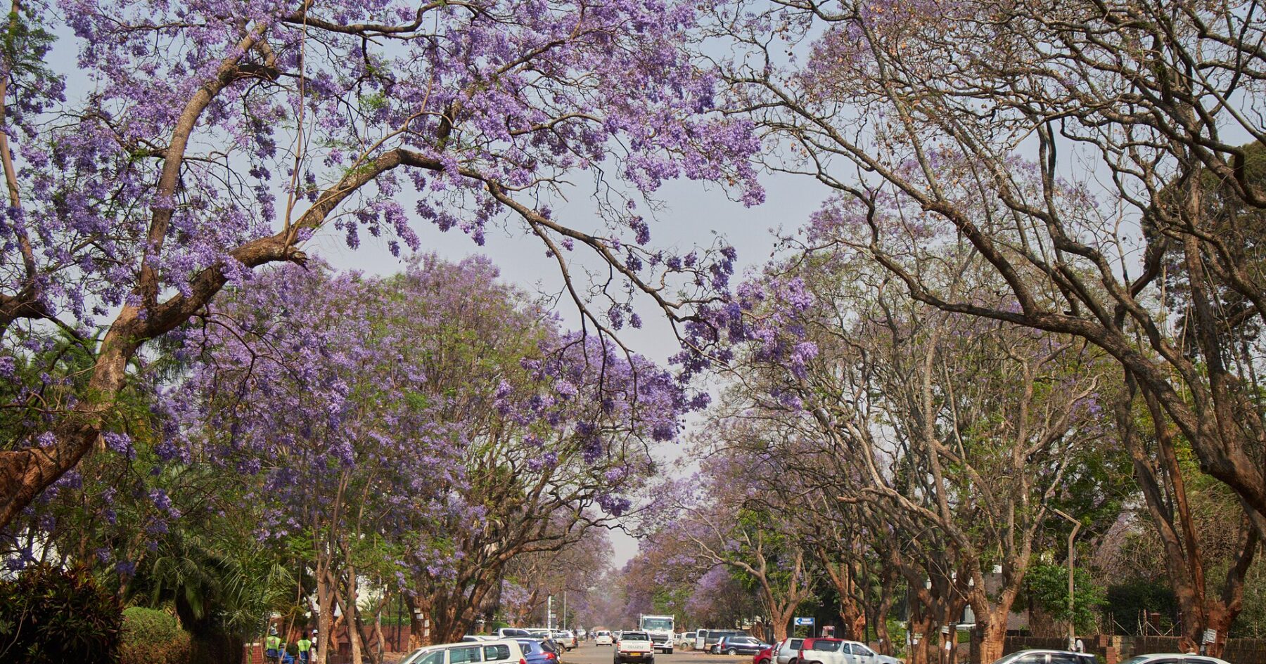 A view over the city of Harare, the capital of Zimbabwe