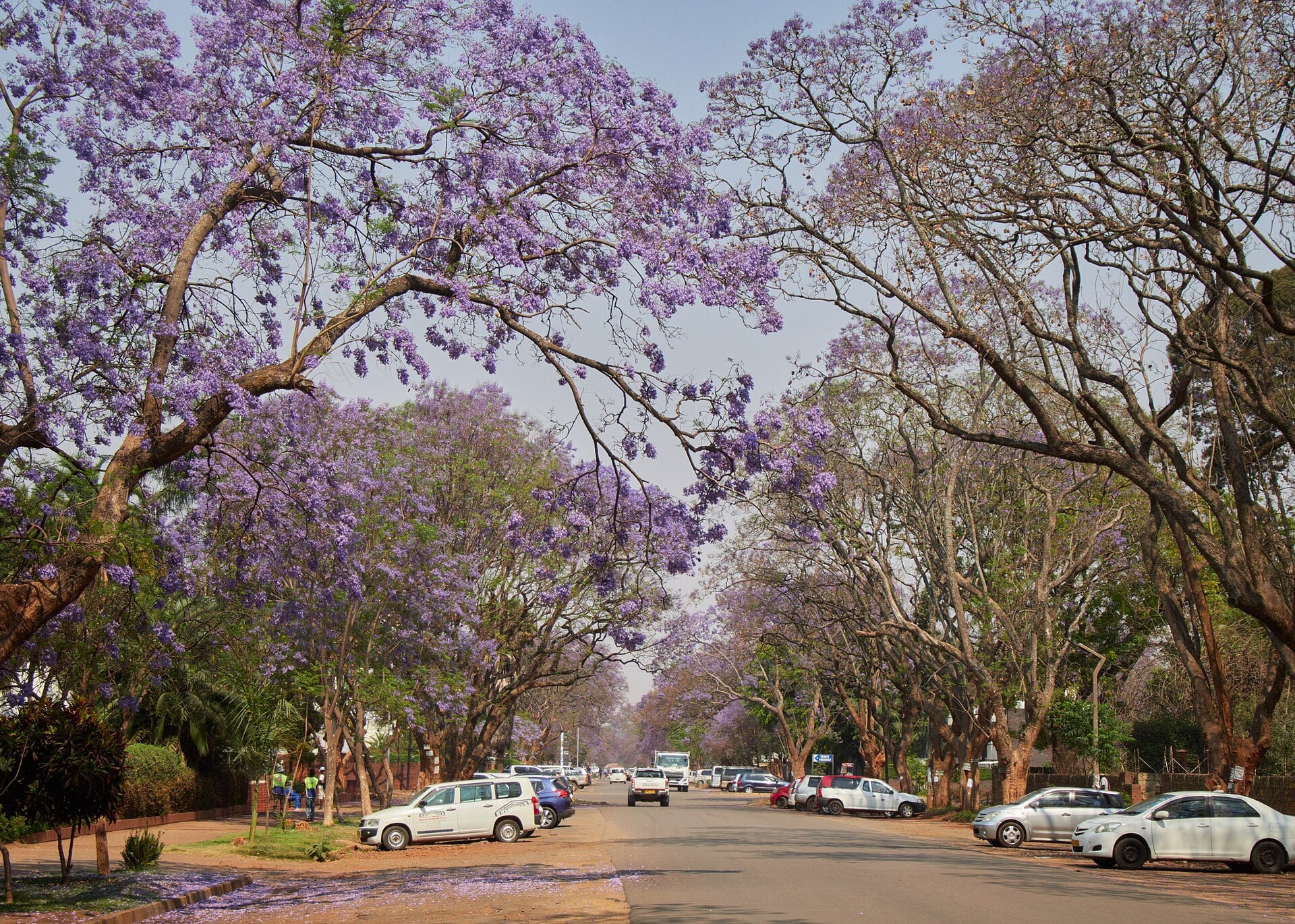 A view over the city of Harare, the capital of Zimbabwe