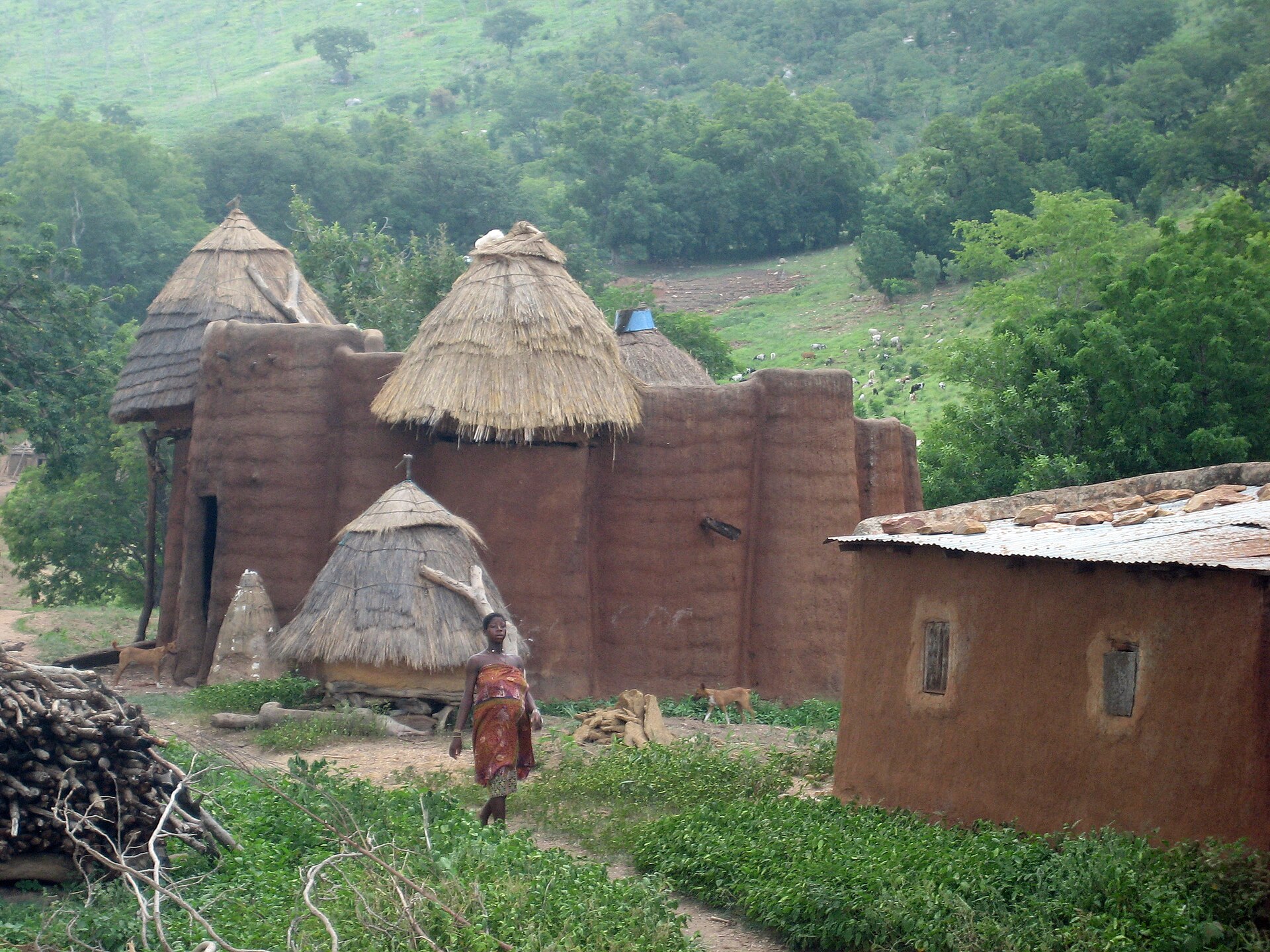 Togo explained — a Tammari earth house with thatched granaries in northern Togo