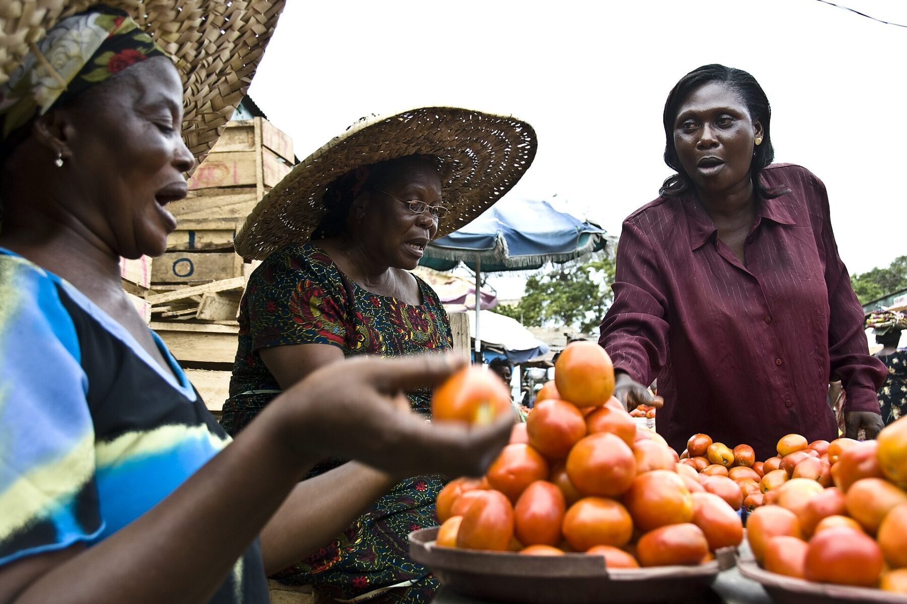 Women selling fresh tomatoes at a market stall in Ghana