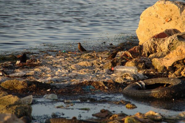 Plastic bottles and litter on the shoreline at Sayada, Tunisia