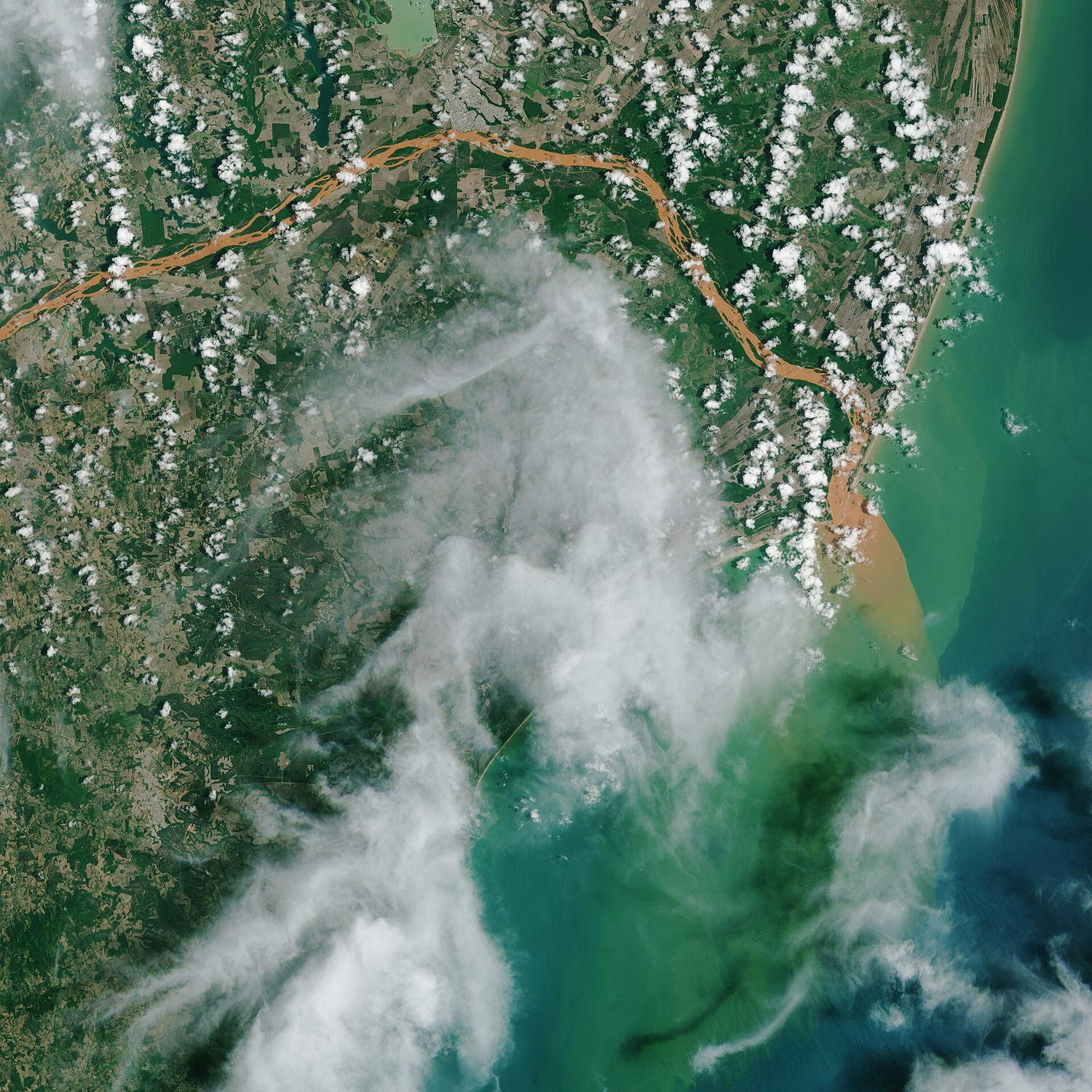 Satellite view of brown sediment from the Rio Doce entering the Atlantic Ocean