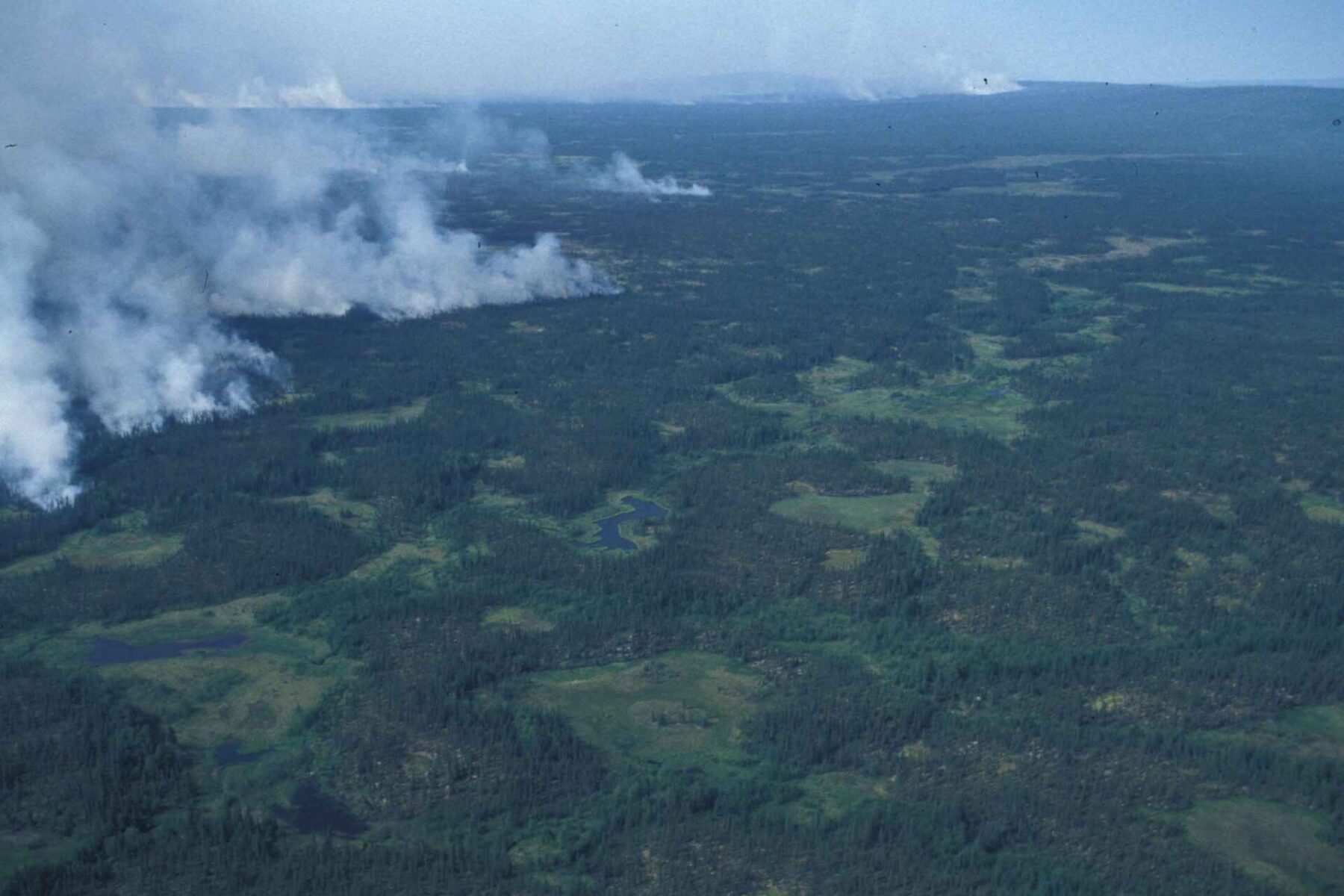 Aerial view of smoke rising from a forest fire front over a vast wooded landscape