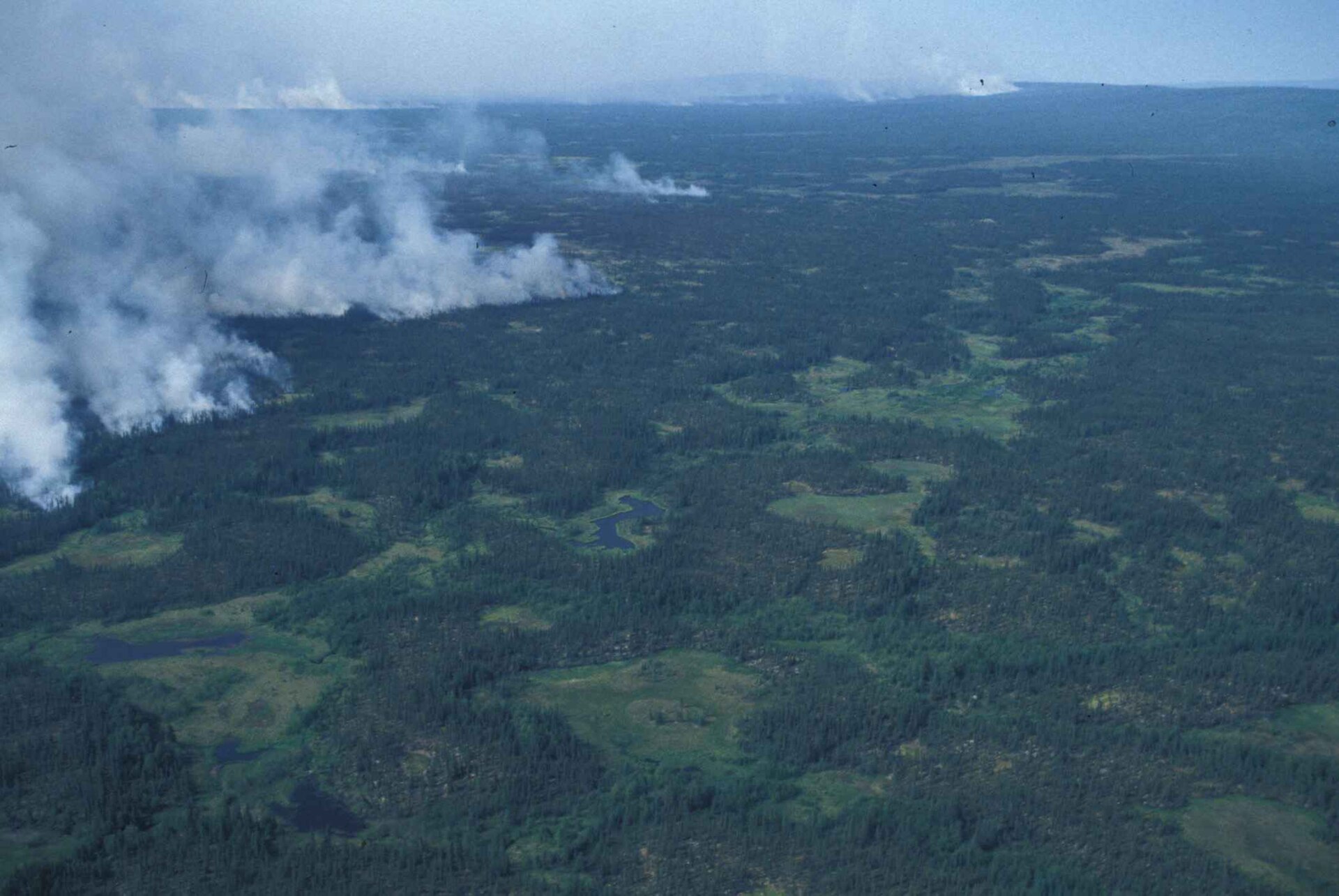 Aerial view of smoke rising from a forest fire front over a vast wooded landscape