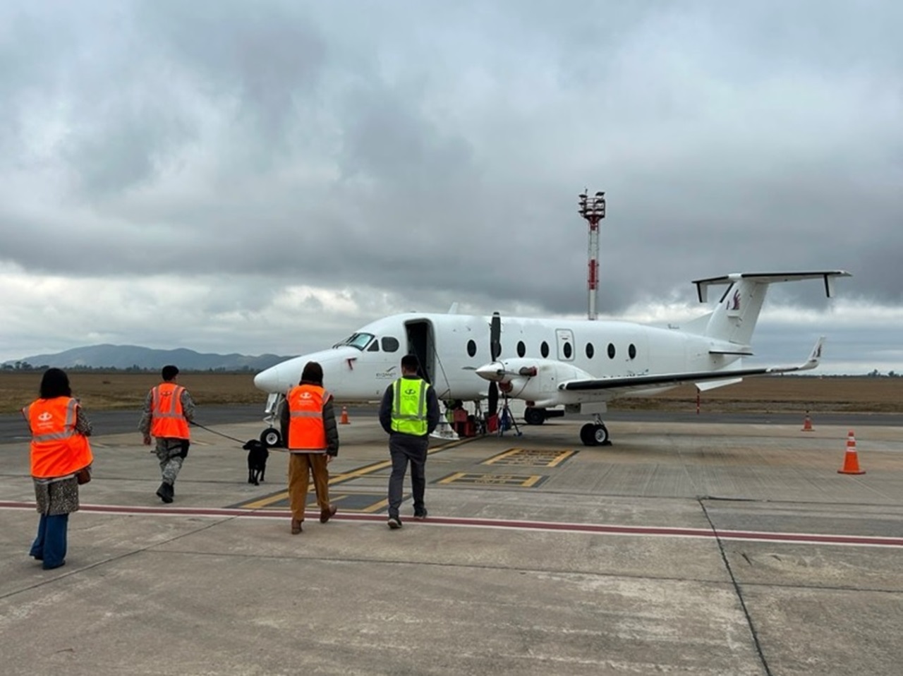 Customs and partner-agency officers, one with a detection dog, approach a light aircraft on a runway during a General Aviation control linked to Operation ZAFIRO in Argentina.