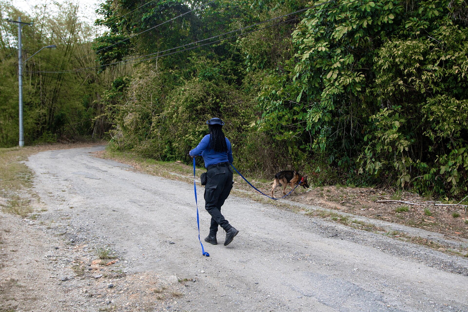 Security forces in the Caribbean