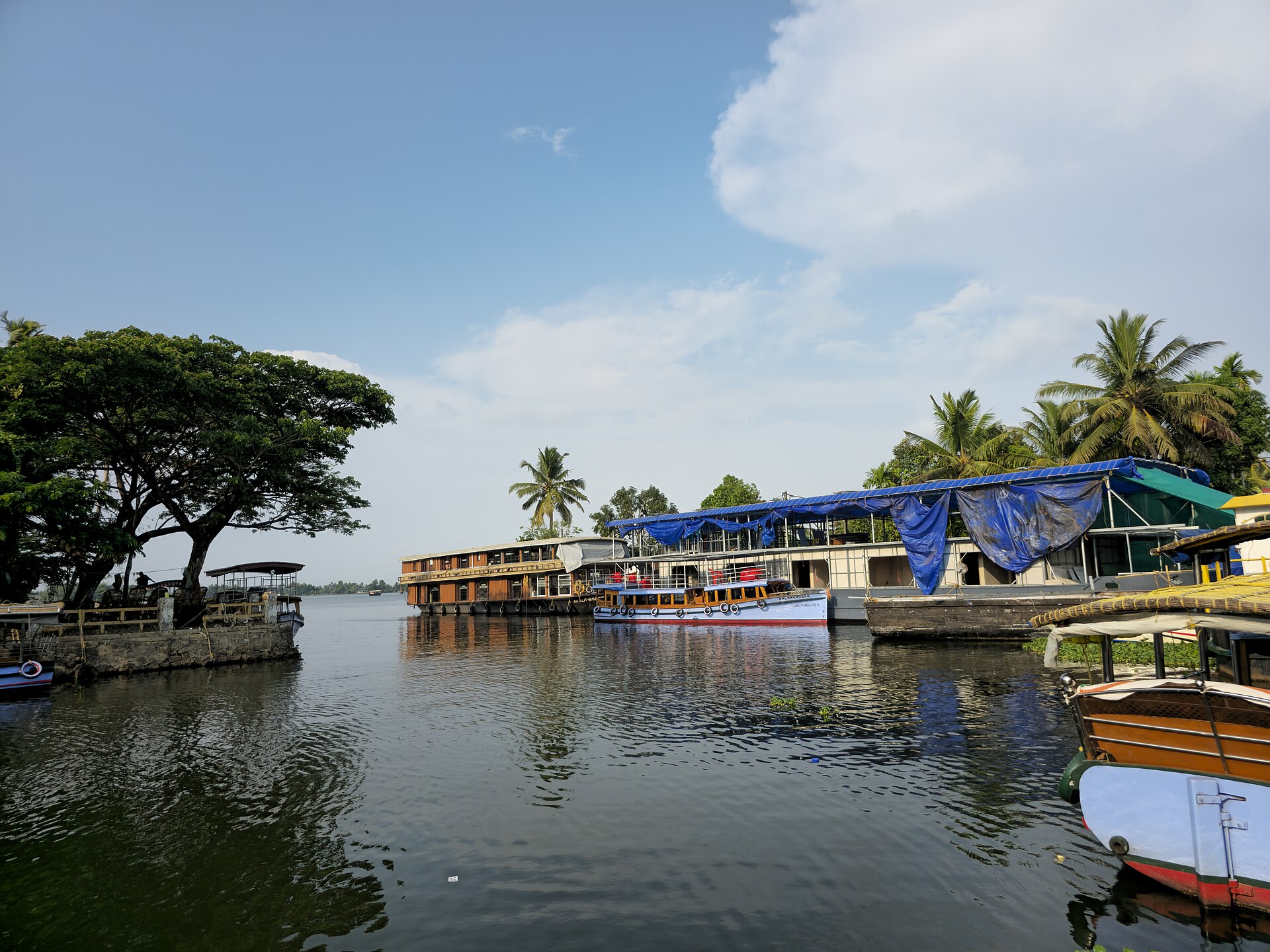 Houseboats moored on a calm backwater lake in Alappuzha, Kerala, under palm trees