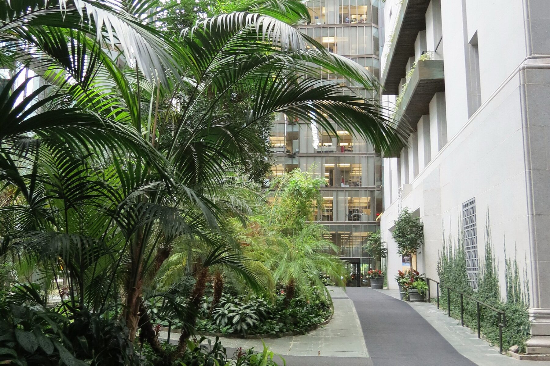 Tree-lined garden atrium between the glass and concrete towers of the Bank of Canada on Wellington Street in Ottawa.
