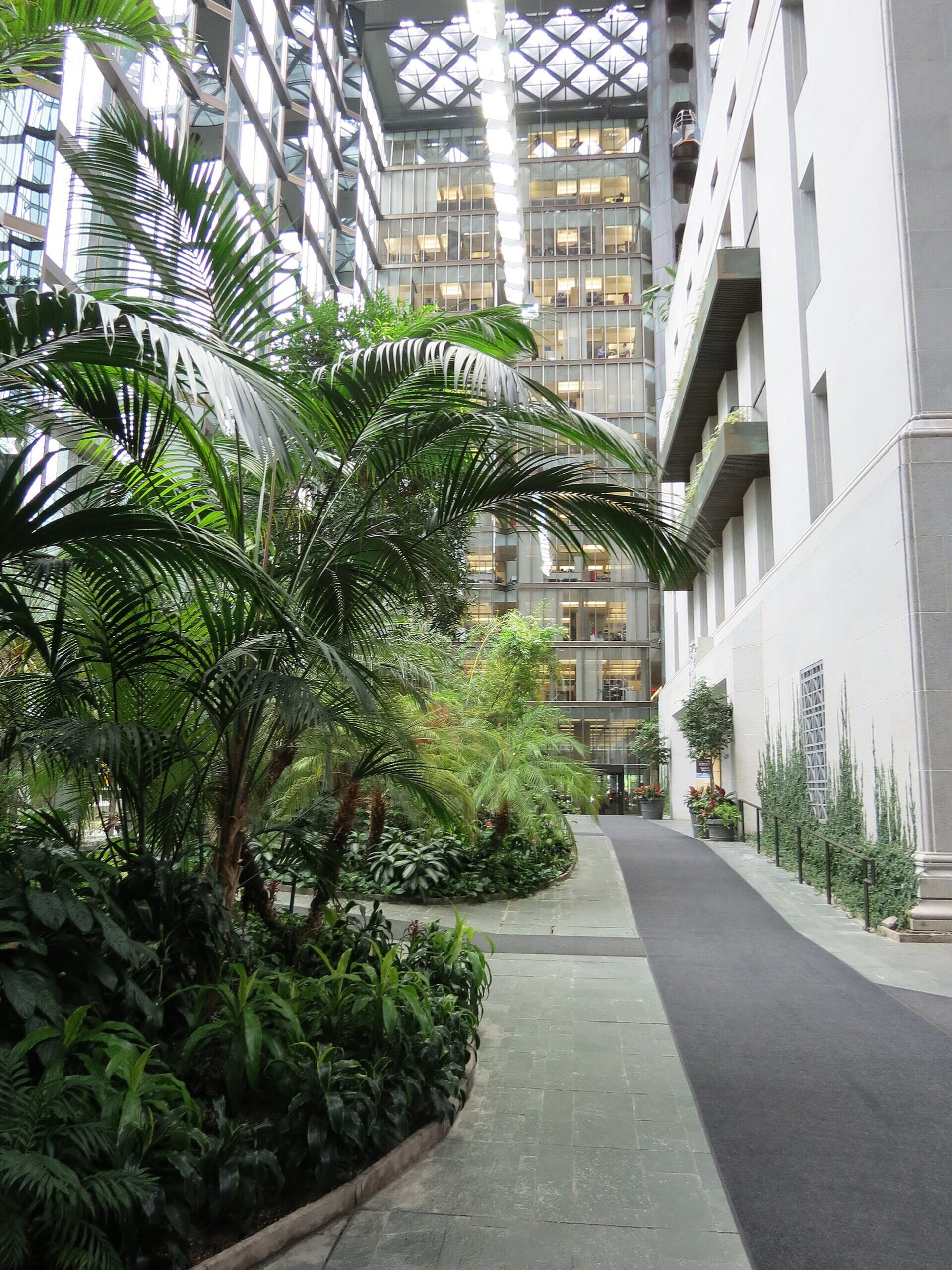 Tree-lined garden atrium between the glass and concrete towers of the Bank of Canada on Wellington Street in Ottawa.