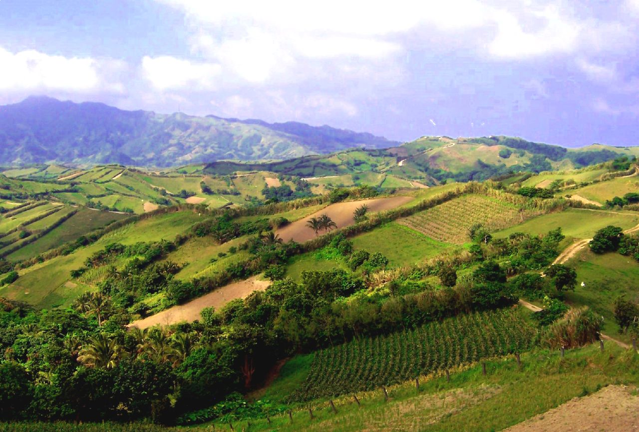Terraced farmland and green hills with mountains behind in Batanes, Philippines.