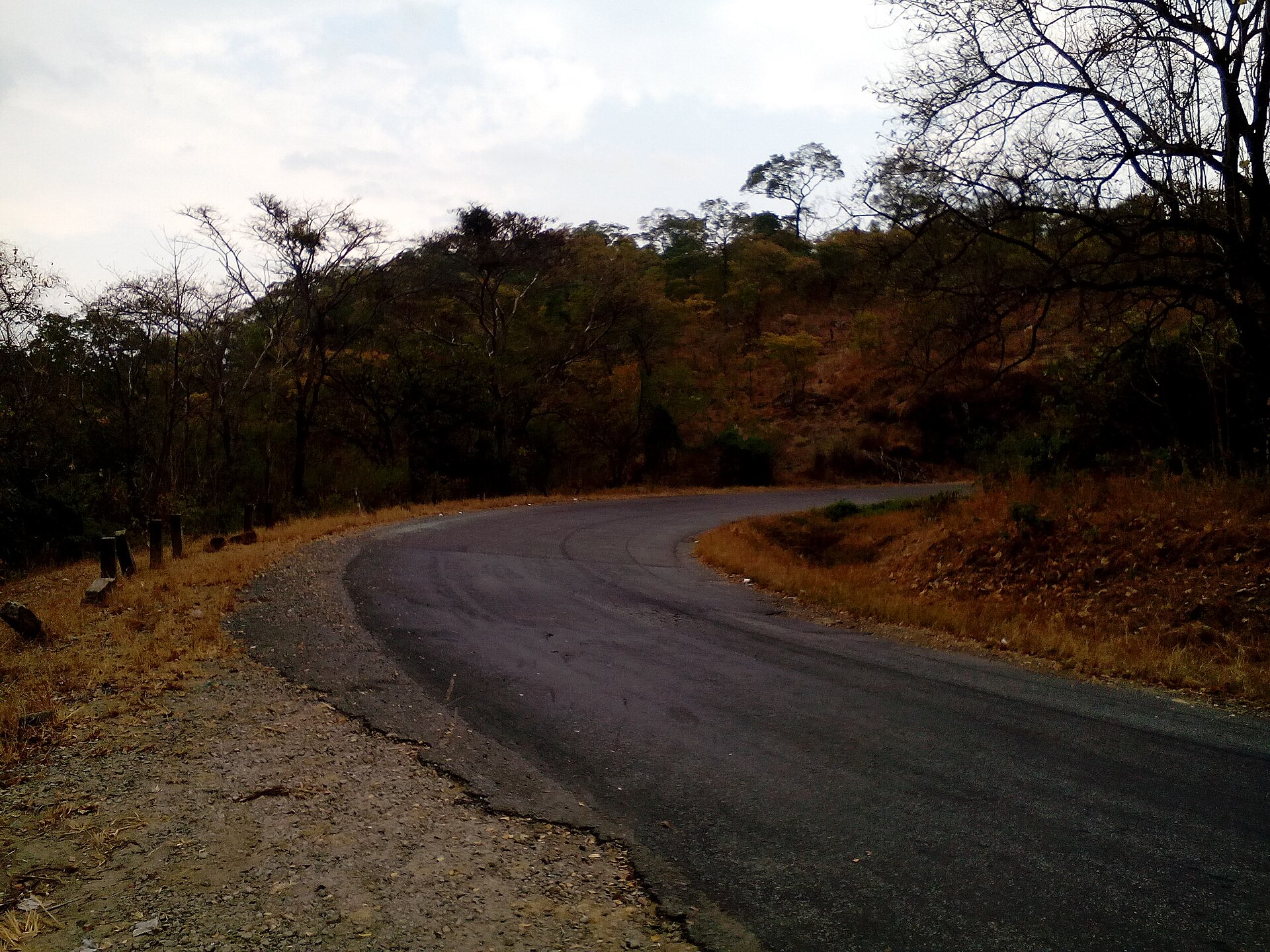 Curving tarmac section of the M1 road in Rumphi District, northern Malawi, lined with dry woodland