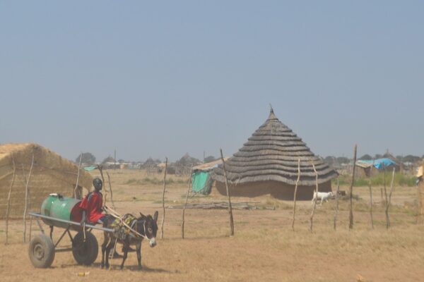 Thatched huts and a boy driving a donkey cart with a water drum in Abyei Town, photographed in 2009