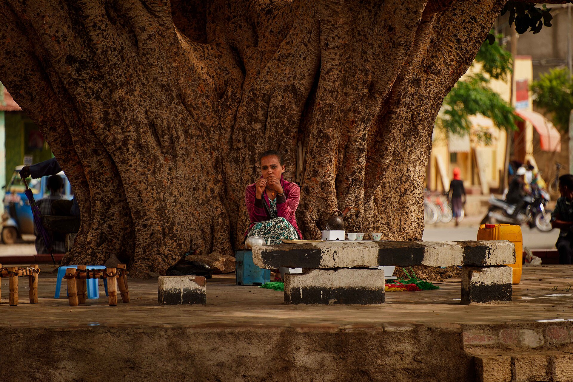 A woman sits at a stone table with a tea set beneath a huge fig tree in a street in Axum, Tigray