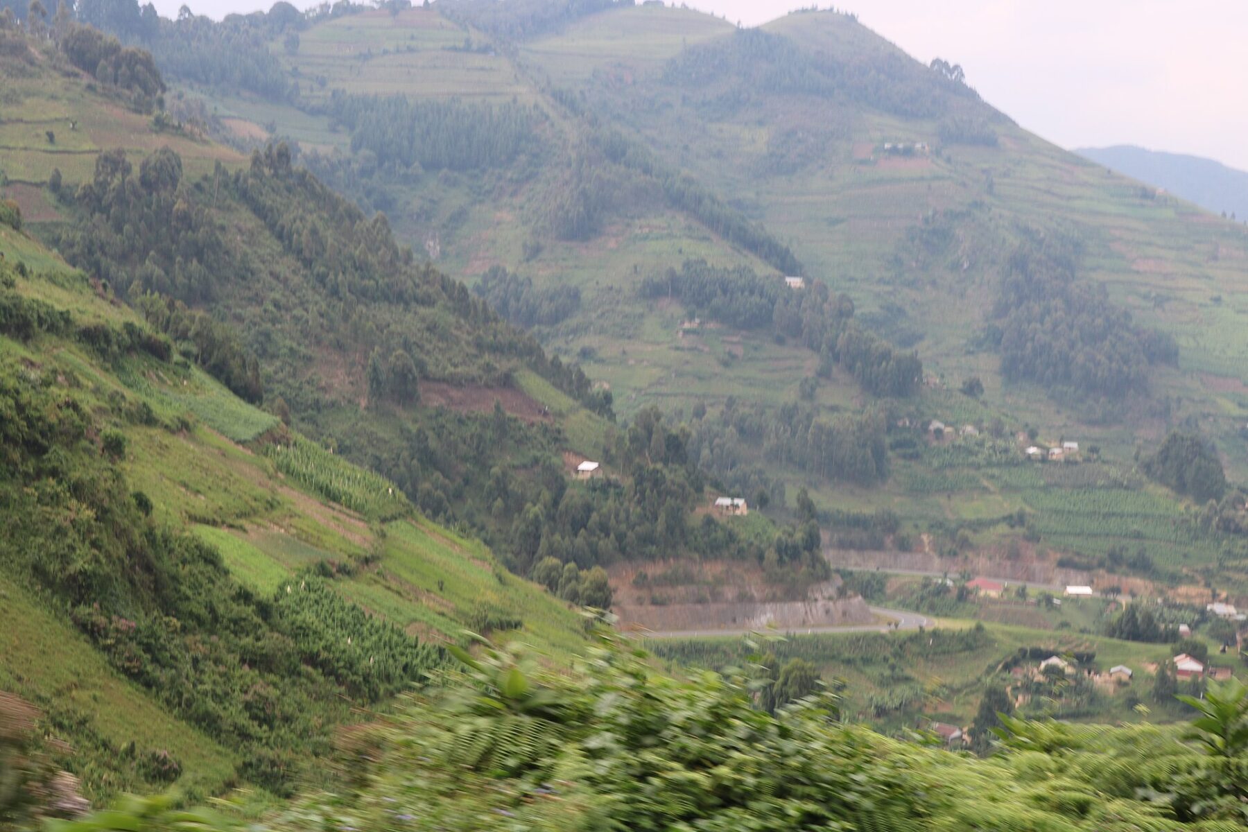 Green terraced hillsides with scattered houses and a road in the valley in southwestern Uganda