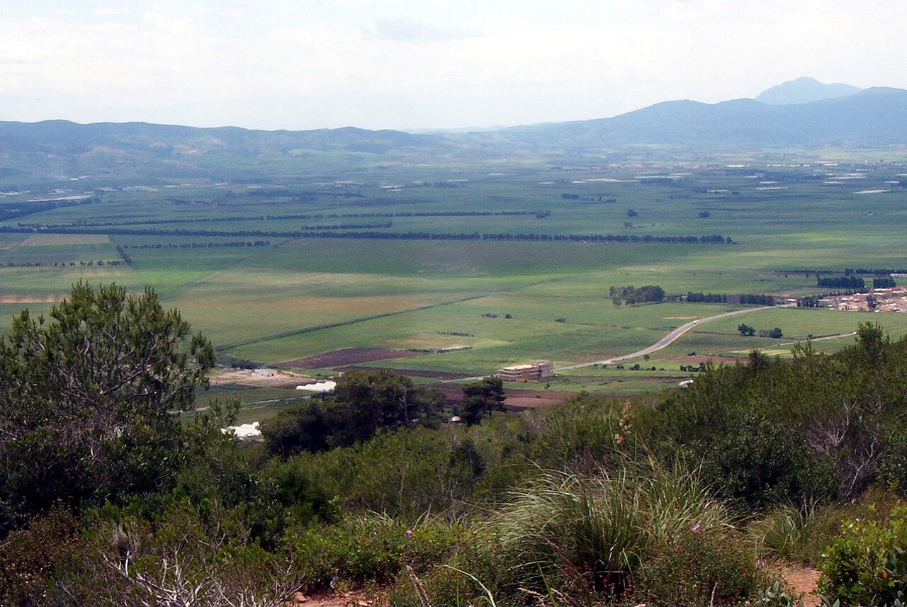 The Mitidja plain in the Algiers hinterland, one of Algeria's main agricultural regions