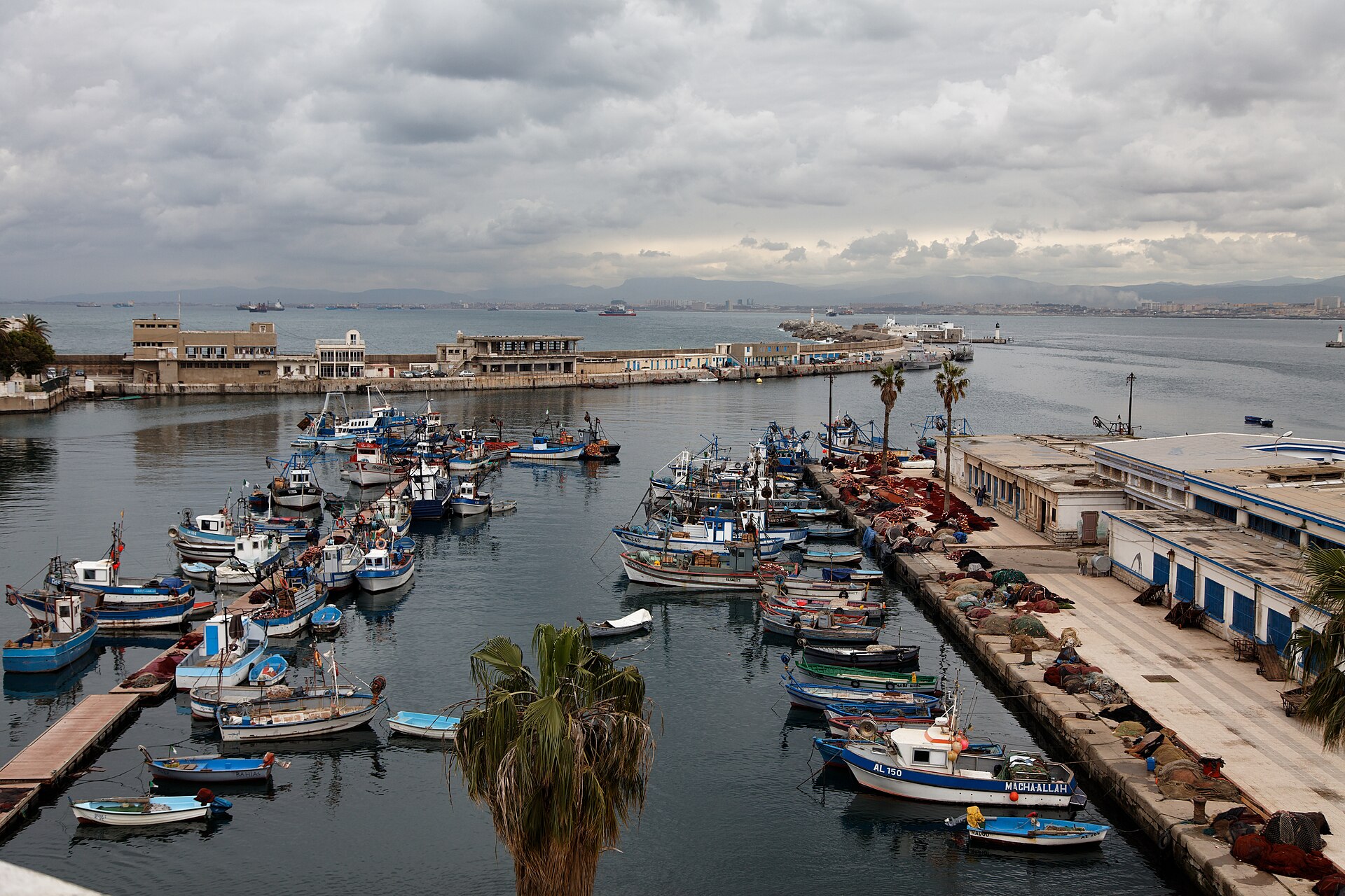 Small fishing boats moored in the old fishing port of Algiers under a cloudy sky