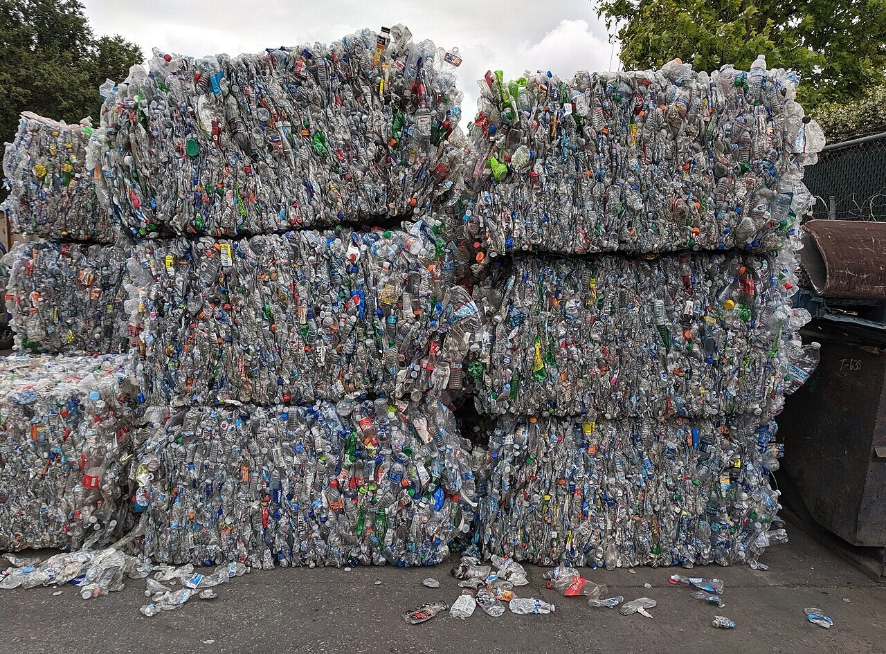 Stacked bales of crushed PET plastic drink bottles at a recycling yard, with a fence and trees behind