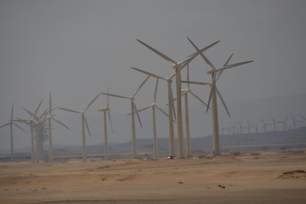 A row of white wind turbines stands on desert sand under a grey sky at the Zafarana wind farm in Egypt