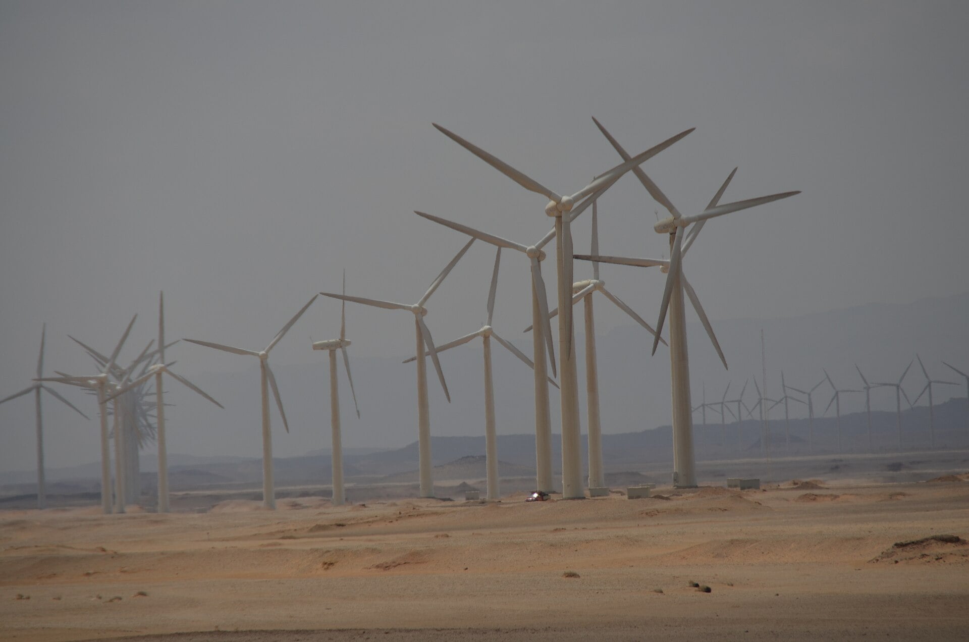 A row of white wind turbines stands on desert sand under a grey sky at the Zafarana wind farm in Egypt
