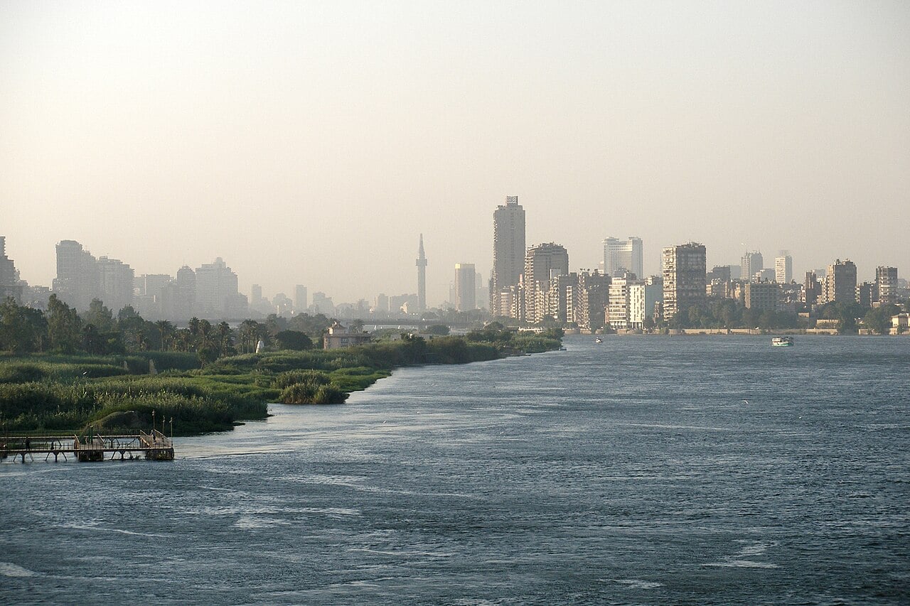 The Nile in Cairo with a line of high-rise towers along the riverbank and green reeds in the foreground, in hazy late-afternoon light.