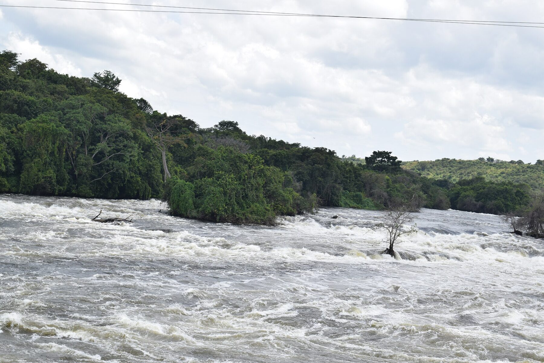 White water rapids on the Nile at Karuma Falls in northern Uganda with forested banks