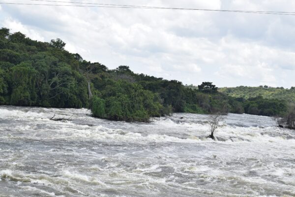 White water rapids on the Nile at Karuma Falls in northern Uganda with forested banks