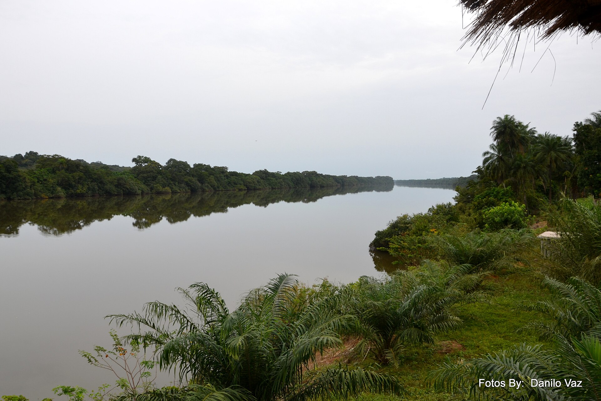 A still stretch of the Corubal river at Saltinho under an overcast sky, with tree-lined banks reflected in the water and palms in the foreground