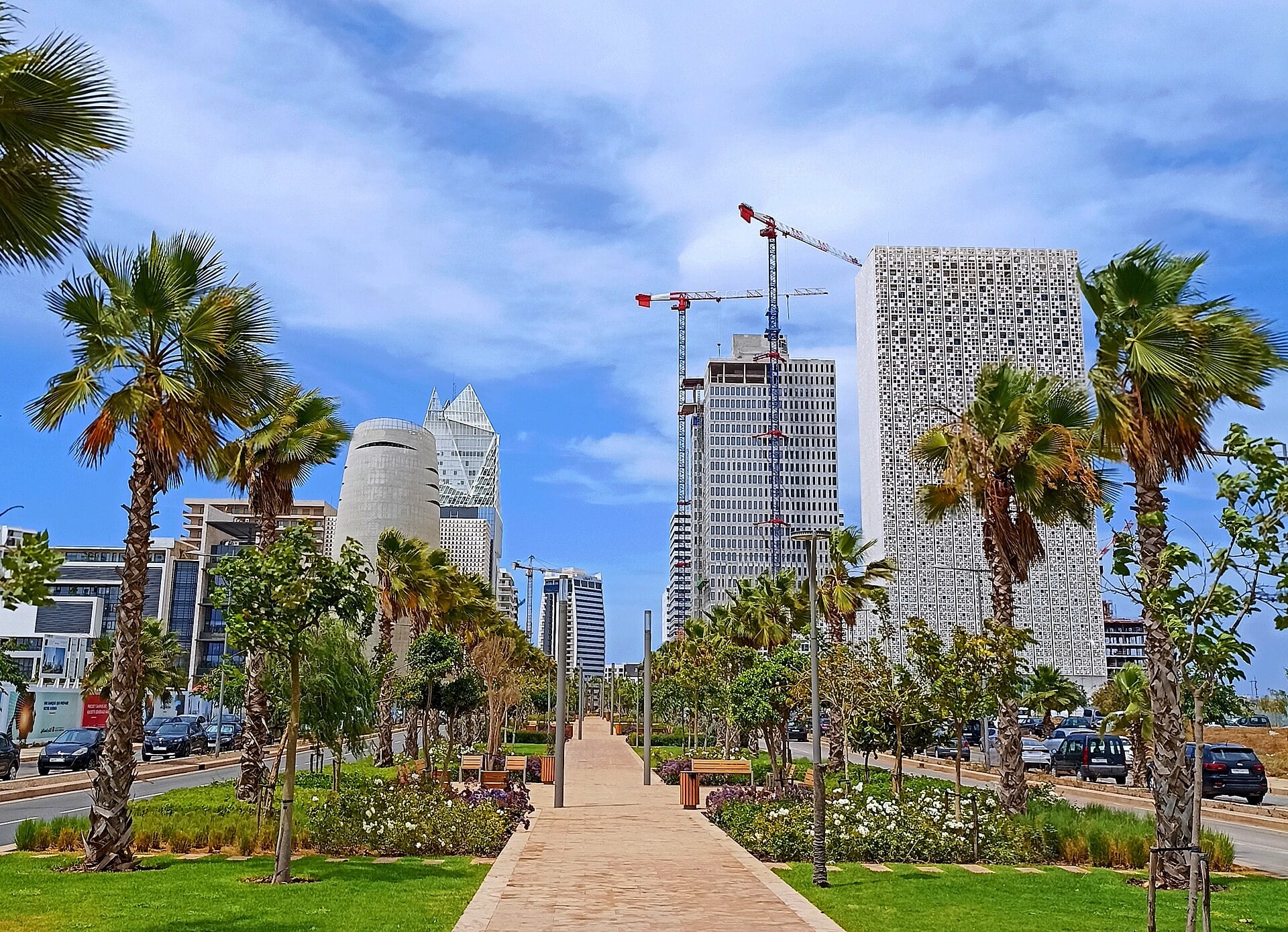 Palm-lined walkway leading to modern office towers in Casablanca, including a white tower with a patterned facade and a glass tower, with cranes behind