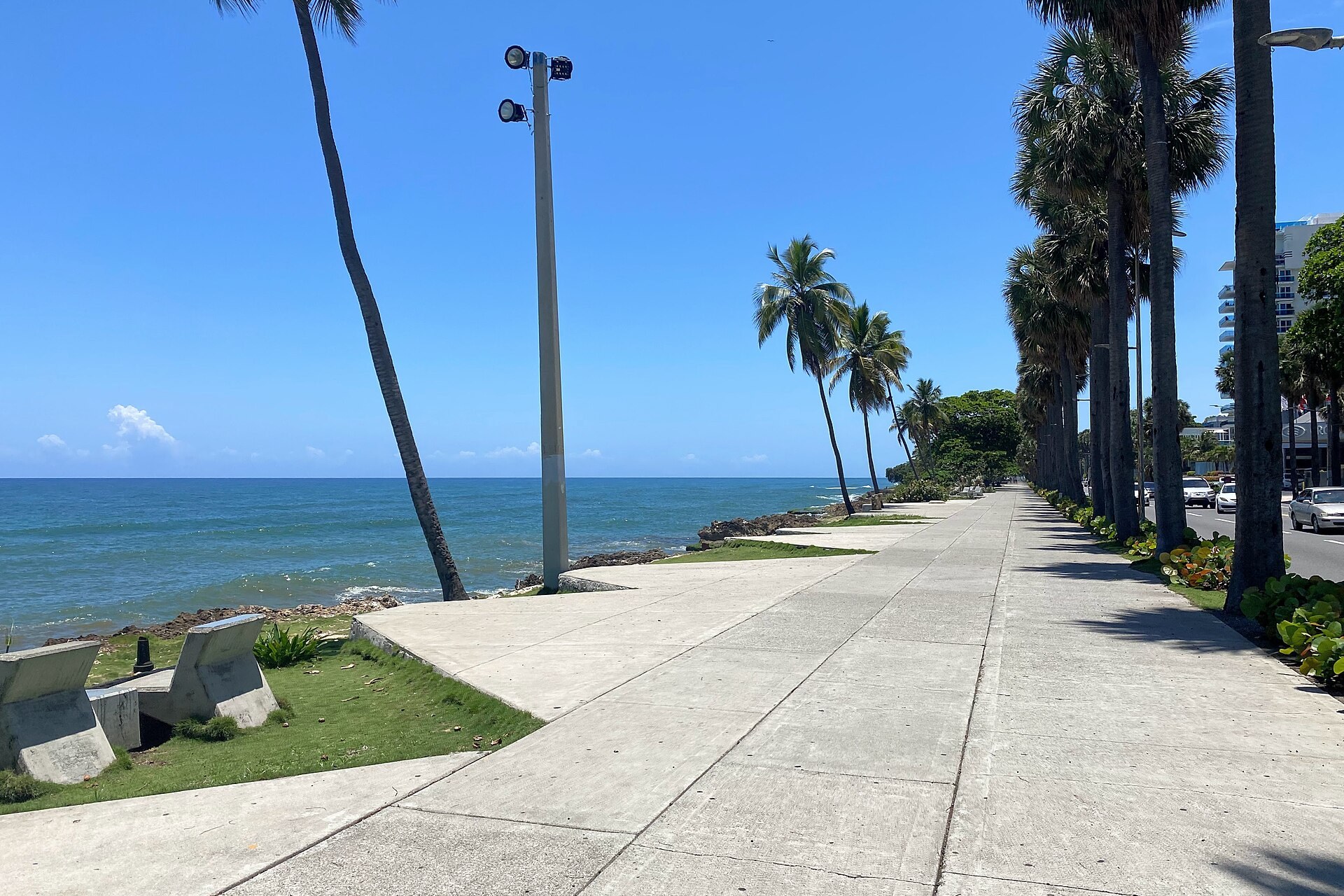 Palm-lined seafront promenade of the Malecón on Avenida George Washington in Santo Domingo, Dominican Republic