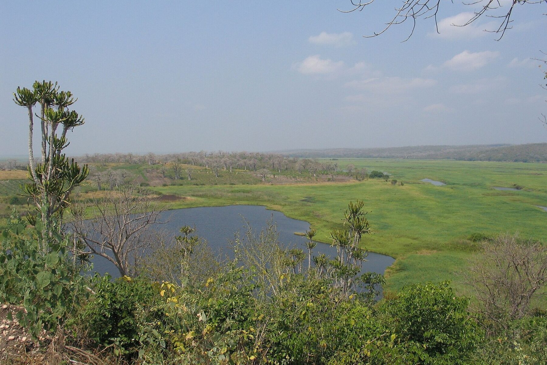 Green wetland, a small lake and scrub near Cacefo in Bengo province, Angola