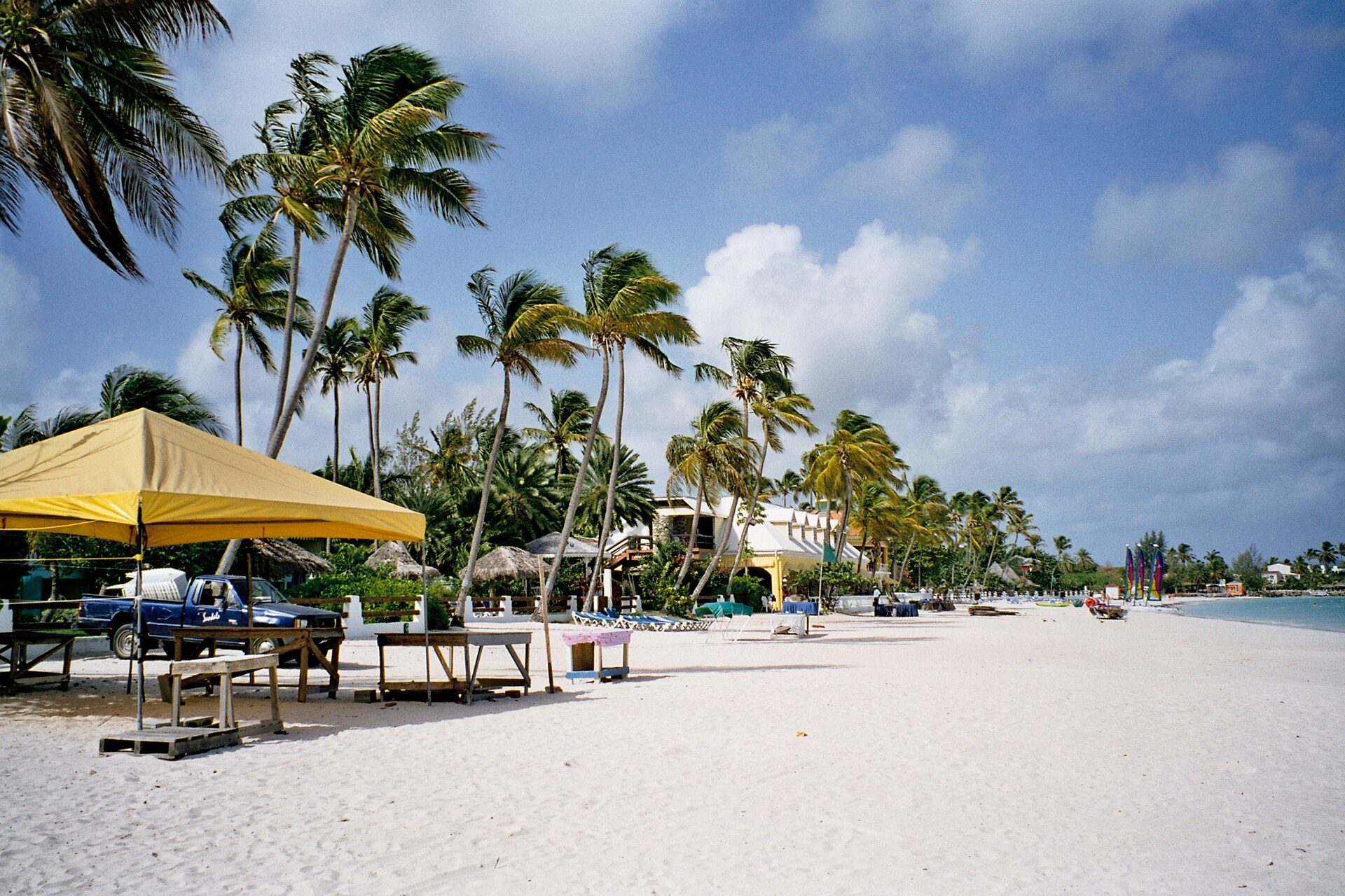 Palm-lined white sand beach, Antigua