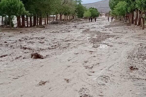 Muddy floodwater runs down a street lined with trees in a small town in northern Neuquén province, Argentina