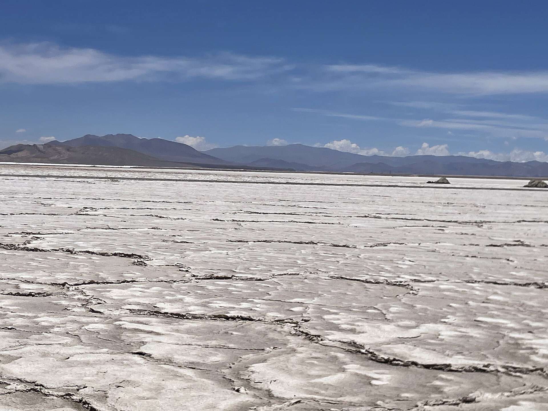 Cracked salt crust on the Salar del Hombre Muerto in north-west Argentina