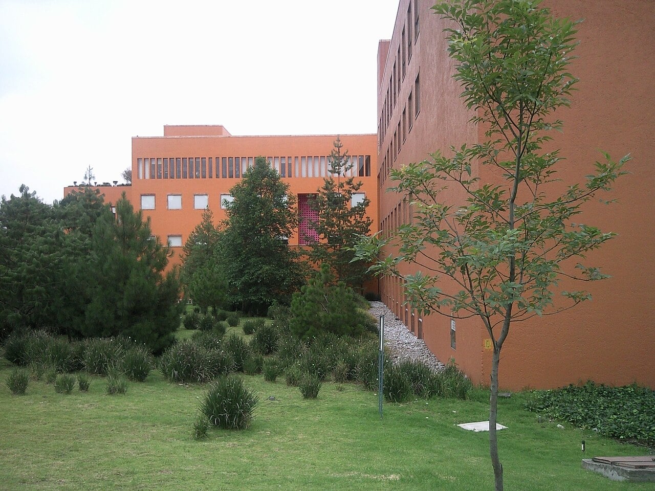 Orange office buildings of Televisa in the Santa Fe district of Mexico City, behind a lawn with young pine trees