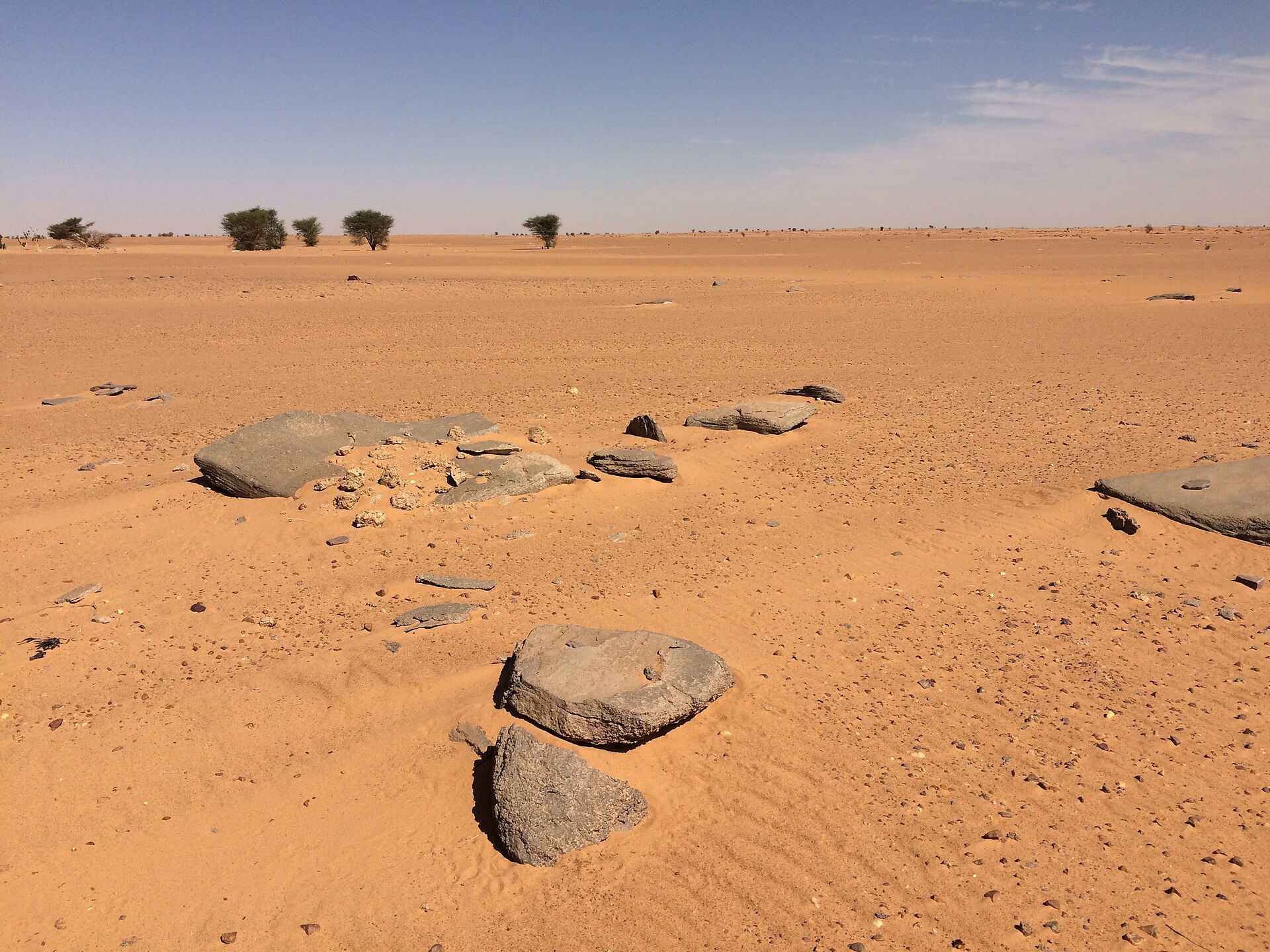 Flat stones scattered on orange desert sand with a few acacia trees on the horizon near Arlit, Niger