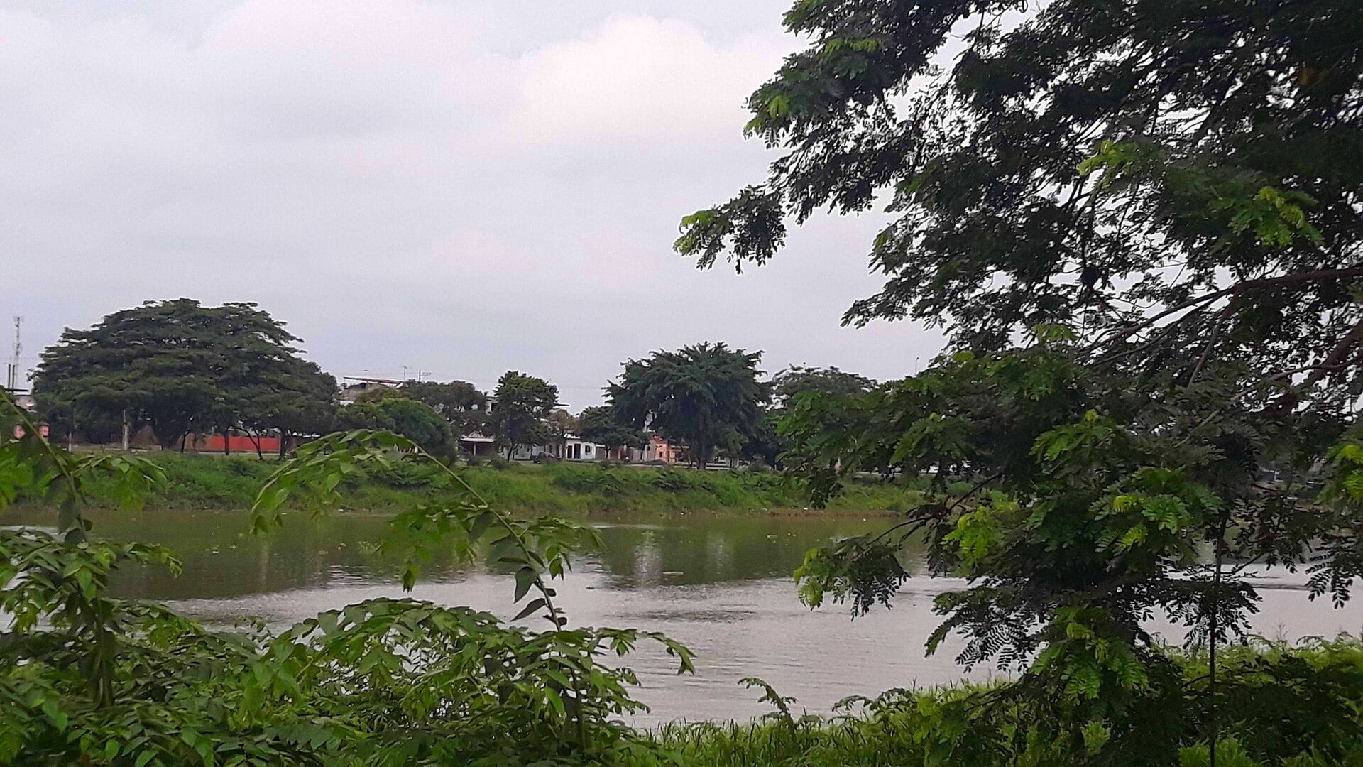 A wide brown river under a grey sky, with trees and low houses on the far bank and green leaves in the foreground