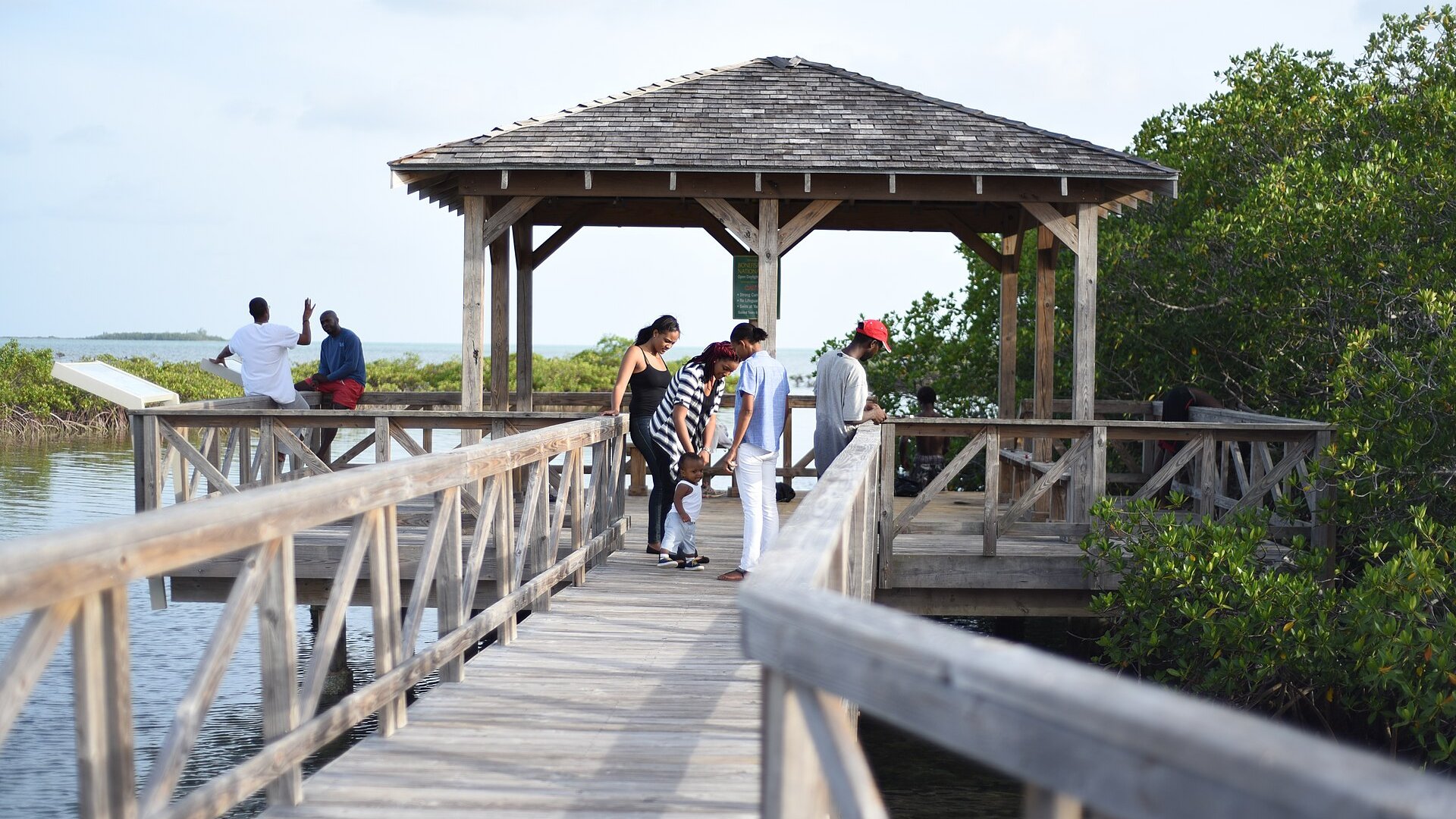 A wooden boardwalk and viewing platform among mangroves at Bonefish Pond National Park in Nassau