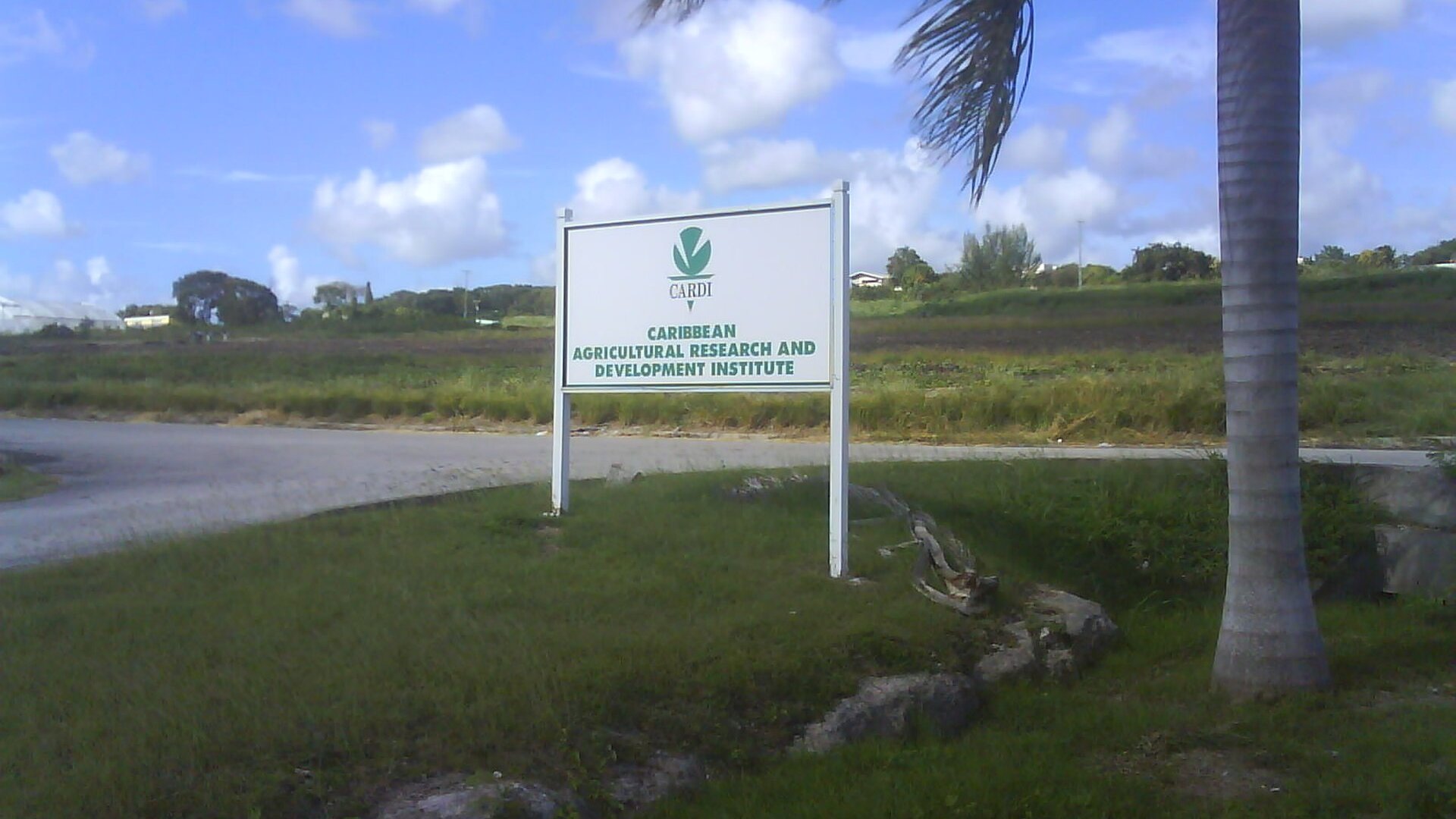 The Caribbean Agricultural Research and Development Institute sign beside a test field on Graeme Hall Main Road in Barbados