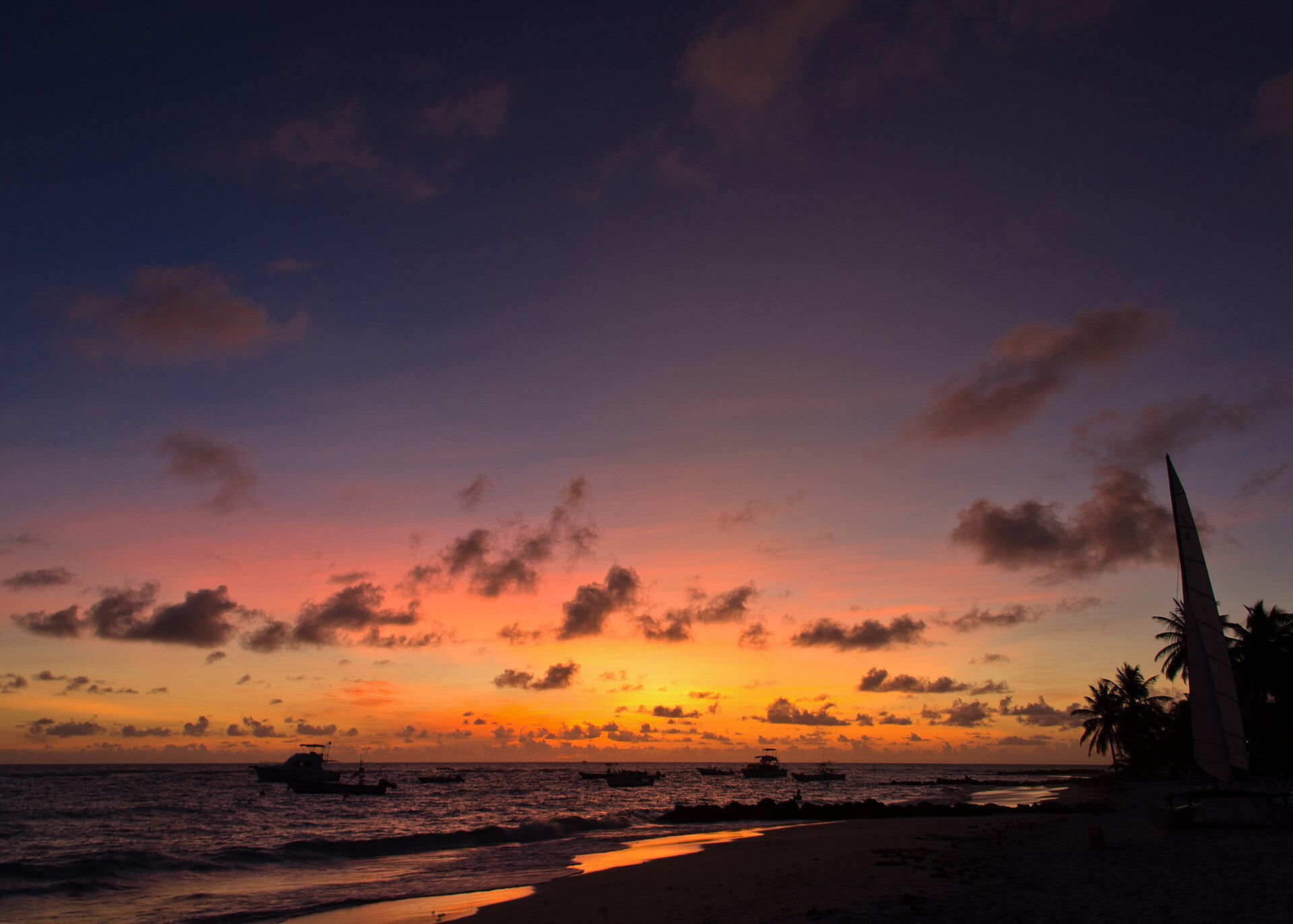 Sunset over the sea and palm trees in Barbados