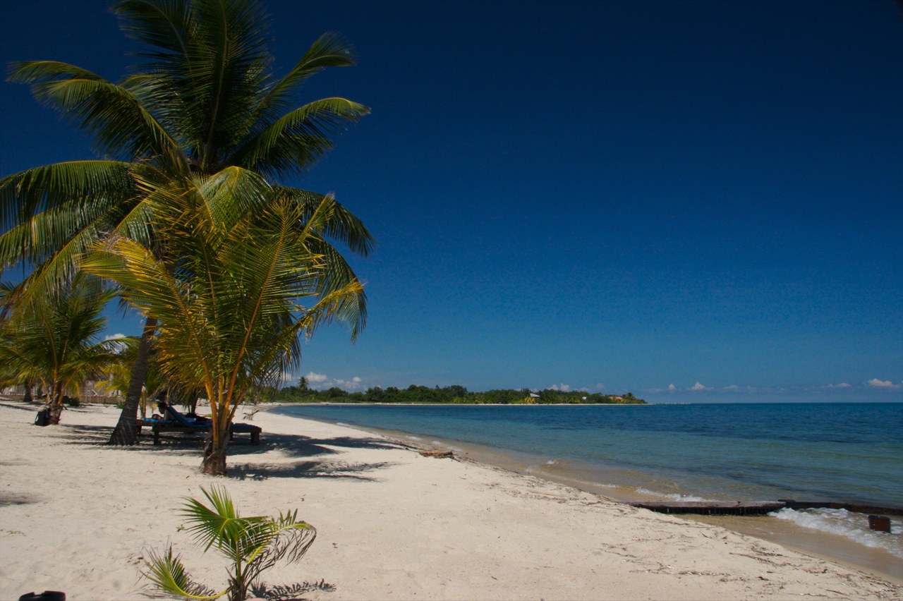 White sand beach with palm trees and calm blue sea at Placencia, Belize