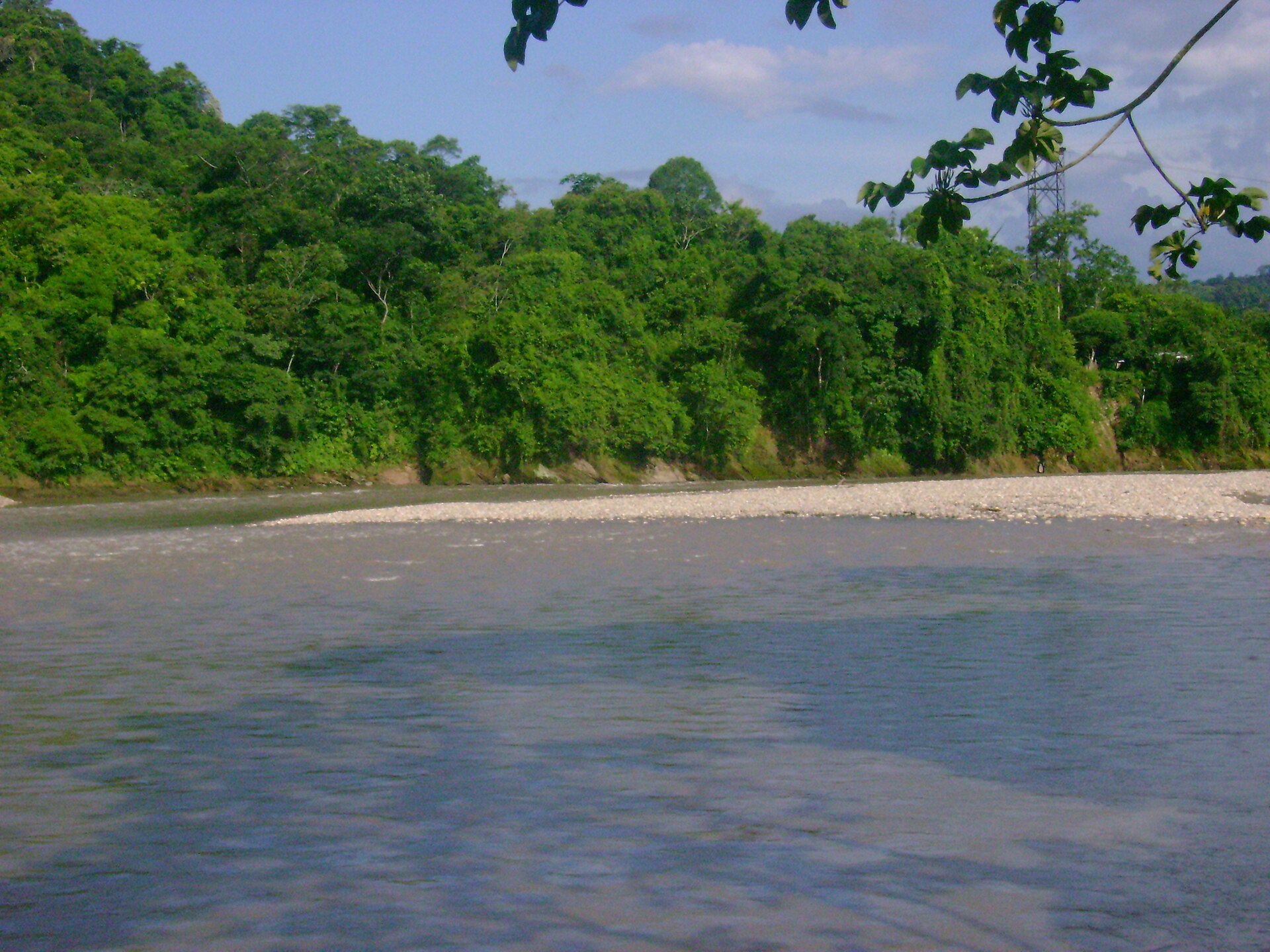 A wide river and forested bank in the Chapare region of Cochabamba, Bolivia