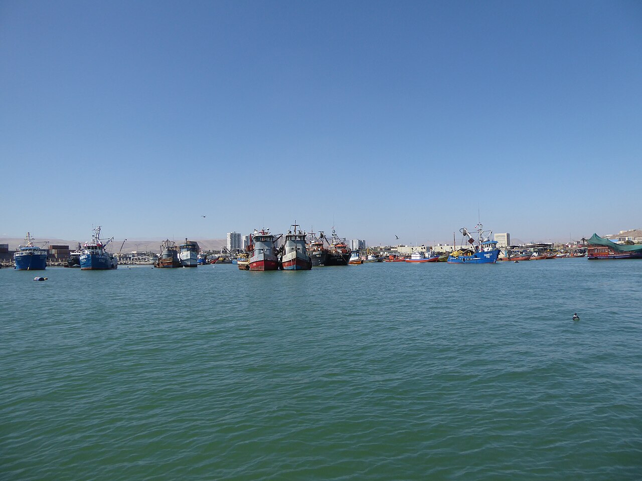 Fishing boats and tugs moored in the harbour of Arica, northern Chile, with city buildings and desert hills behind