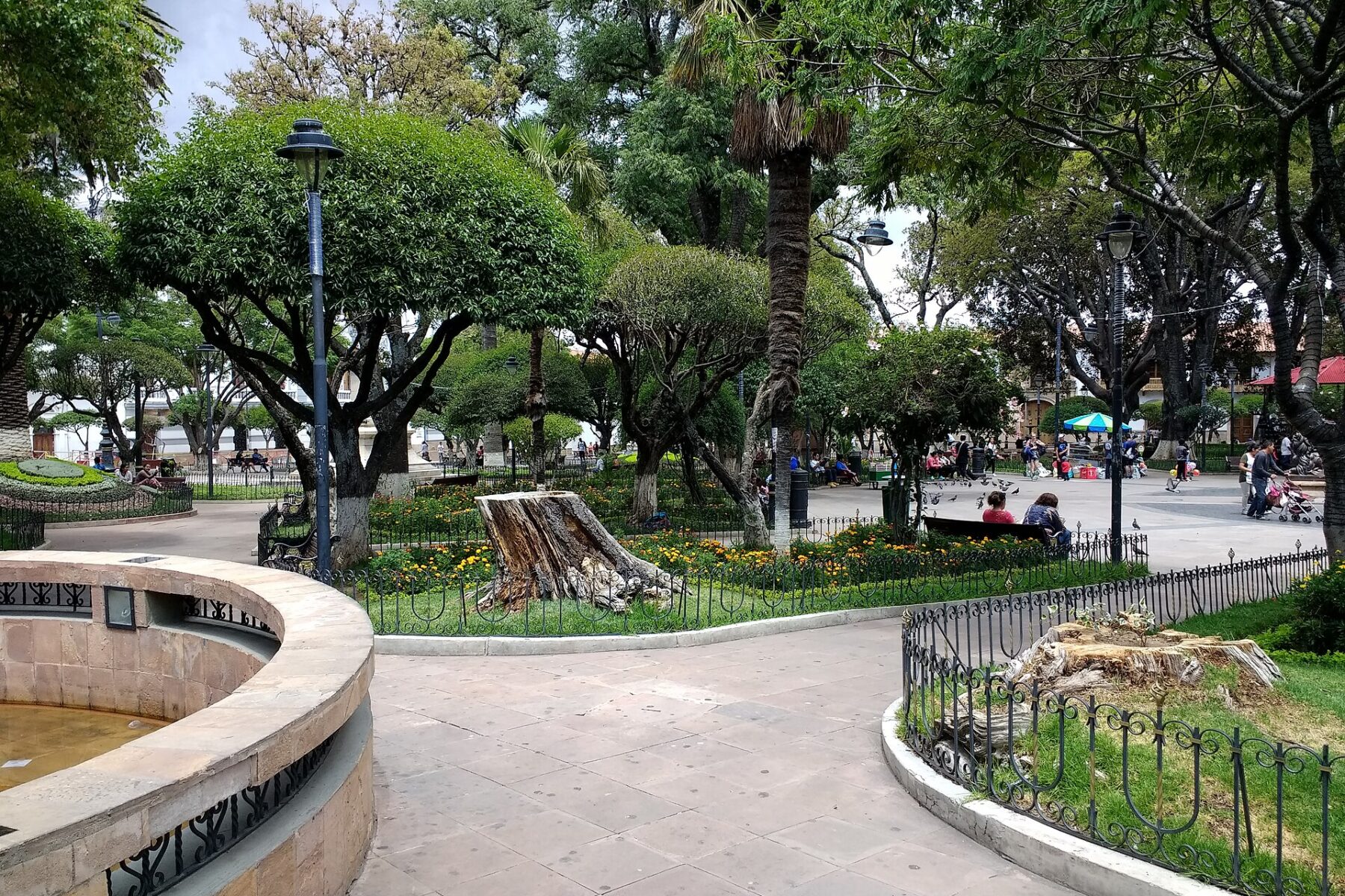 Footpaths, flower beds and trees in Plaza 25 de Mayo, Sucre, Bolivia
