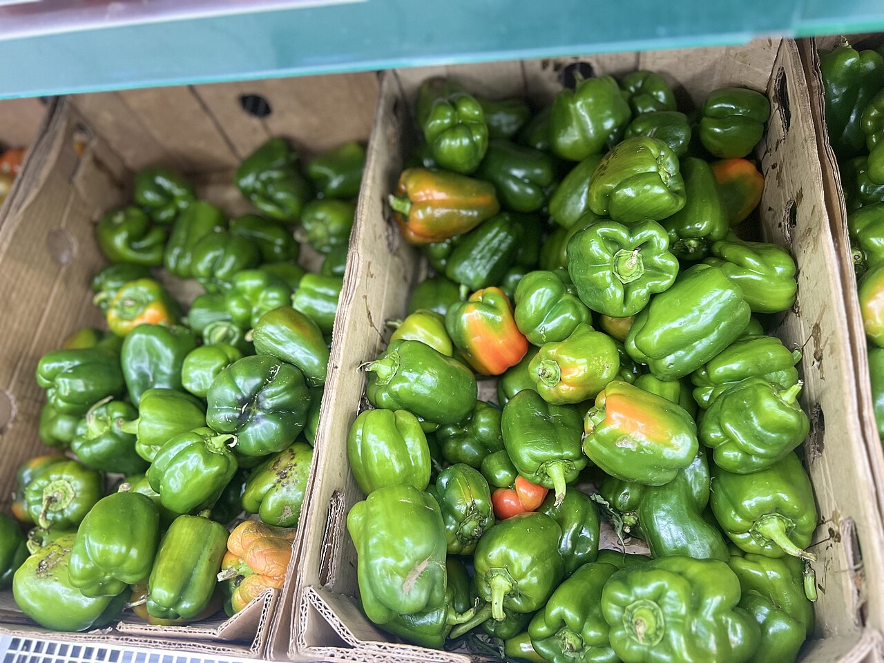 Boxes of green bell peppers on a supermarket shelf in Palapye, Botswana