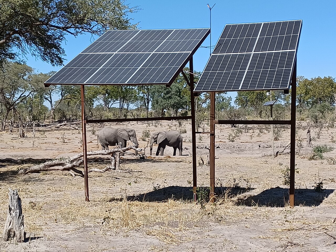 Two solar panel arrays on steel frames at a bush waterhole in Botswana with two elephants behind them
